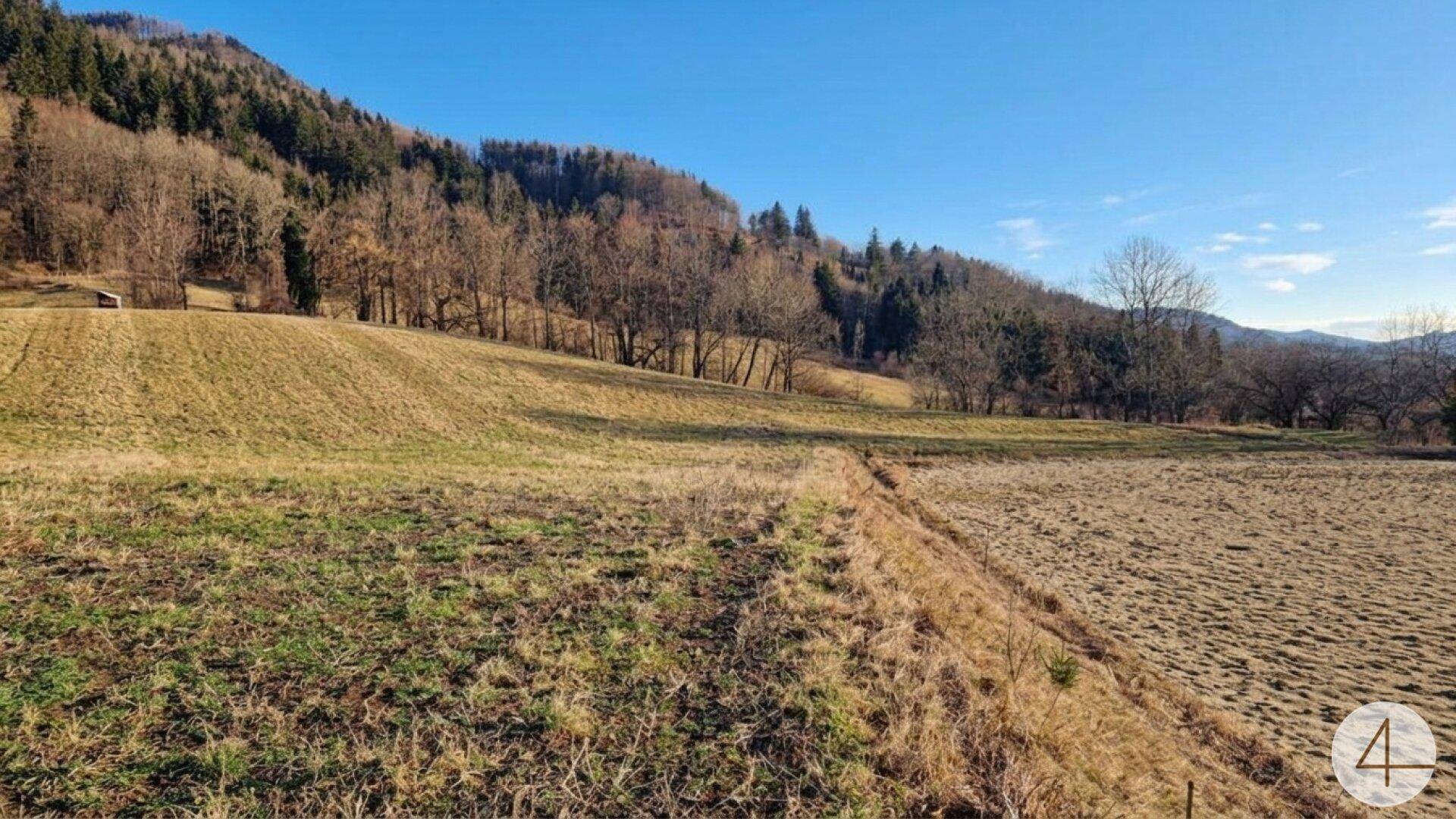 Weitläufige Felder mit trockener Vegetation und bewaldeten Hügeln unter klarem blauem Himmel.