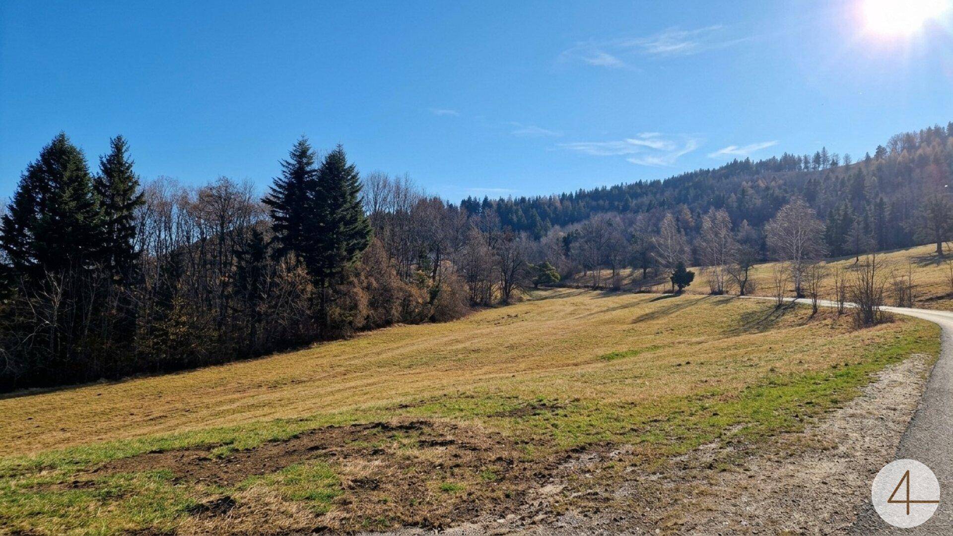 Ländliche Landschaft mit Feldern, Bäumen und einer kleinen Straße unter strahlendem Sonnenschein.
