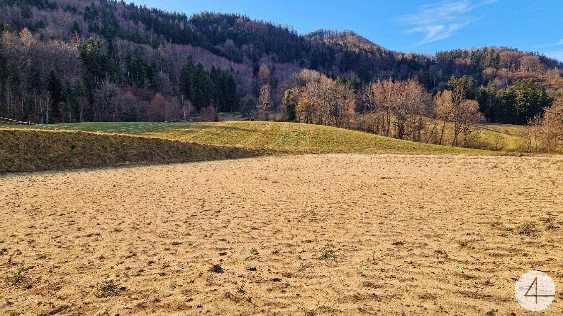 Offene Felder und sanfte Hügel unter blauem Himmel, umgeben von Wald und ländlicher Natur.