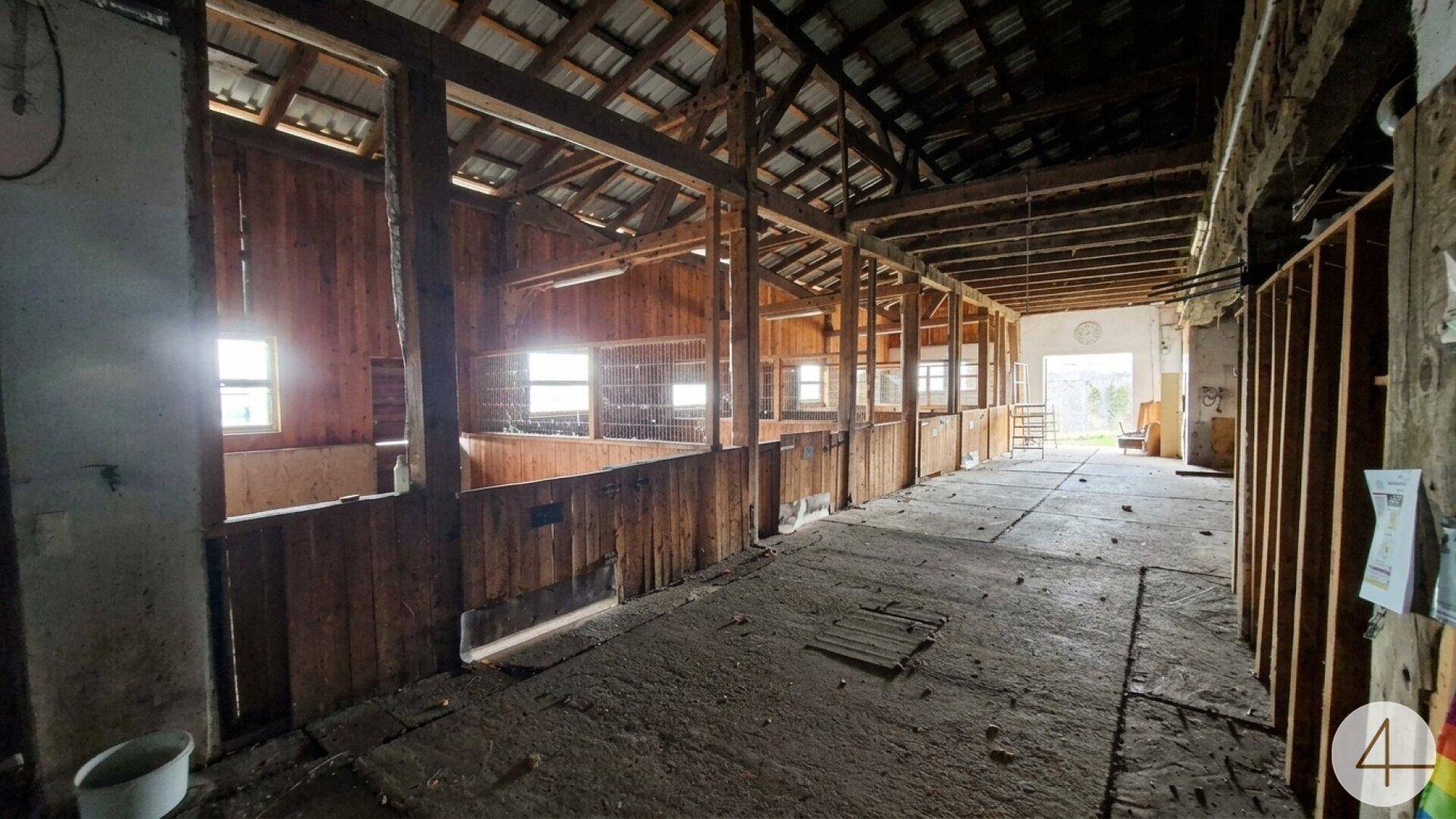 Geräumiger Innenbereich einer Scheune mit Holzwänden, Boxen und natürlichem Lichteinfall durch Fenster.