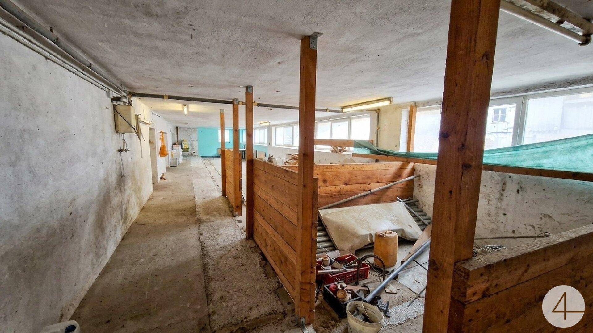 Kellerraum mit Holzabtrennungen, Betonboden und Fenstern für natürliches Licht und Lagerung.