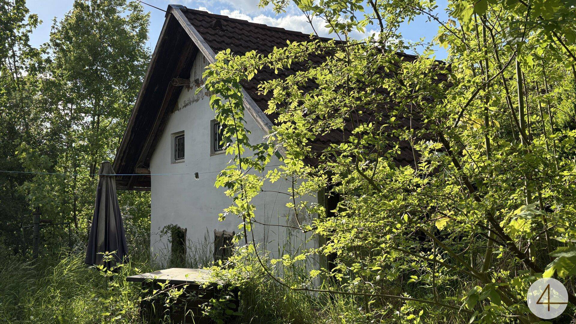 Seite eines alten, verwilderten Hauses mit Ziegeldach, umgeben von dichtem grünen Laubwerk.