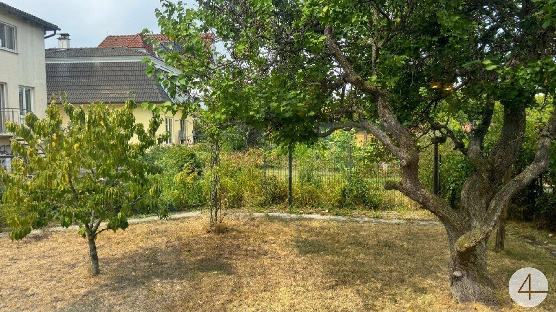 Großer Gartenbereich mit altem Baumbestand und viel Grünfläche.