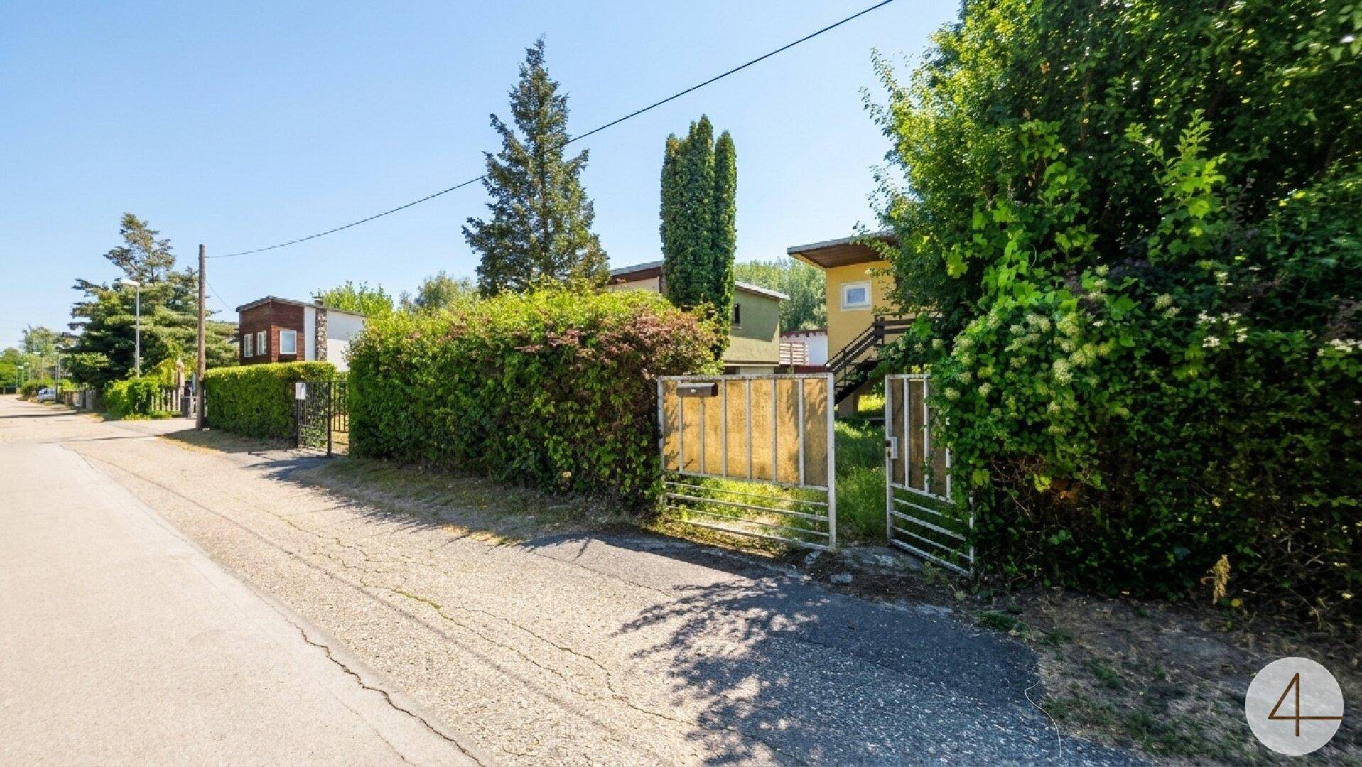Blick von der Straße auf das Grundstück mit Hecke und Einfahrtstor, umgeben von Bäumen.