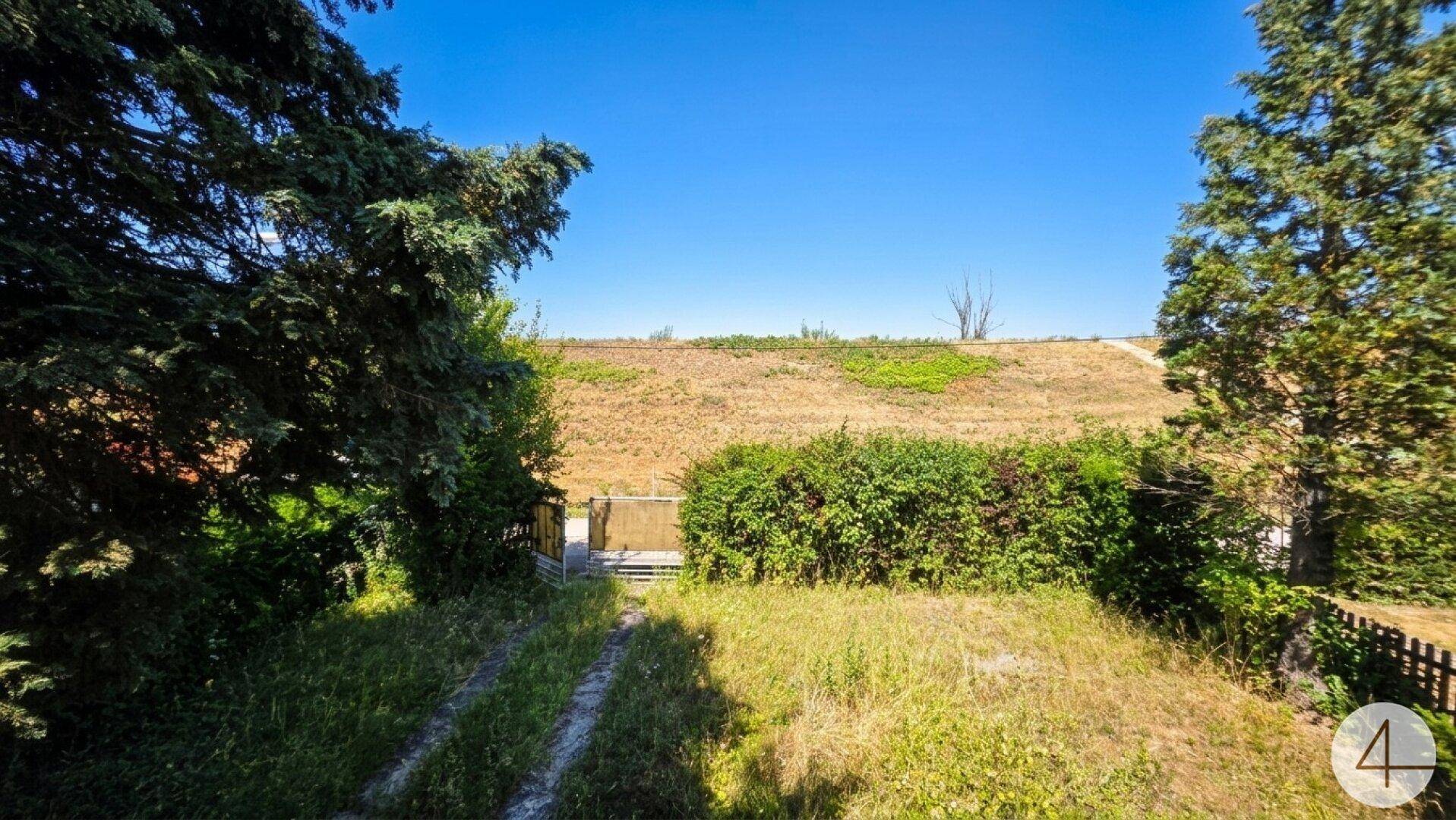 Weitläufiger Blick über eine trockene Landschaft mit Bäumen und einem Zaun im Vordergrund.