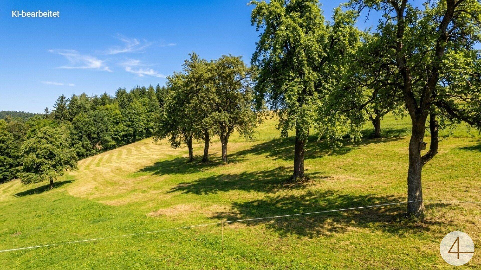 Grüne Wiese mit vereinzelten Bäumen und sanften Hügeln im Hintergrund.