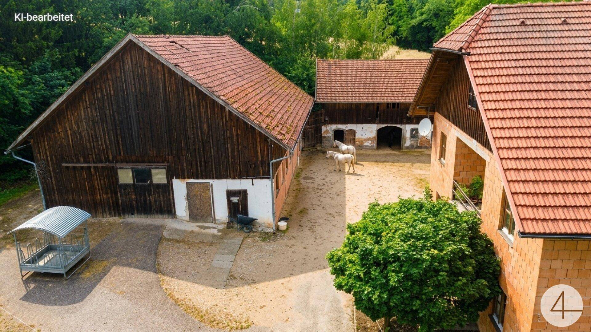 Blick auf den Innenhof zwischen den Gebäuden mit zwei Pferden und einem Unterstand.