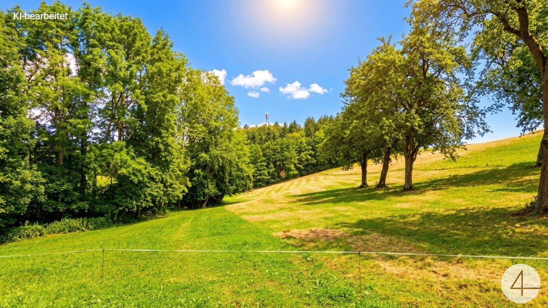 Sonnige Wiese mit Bäumen und einem weiten Blick in die ländliche Umgebung.