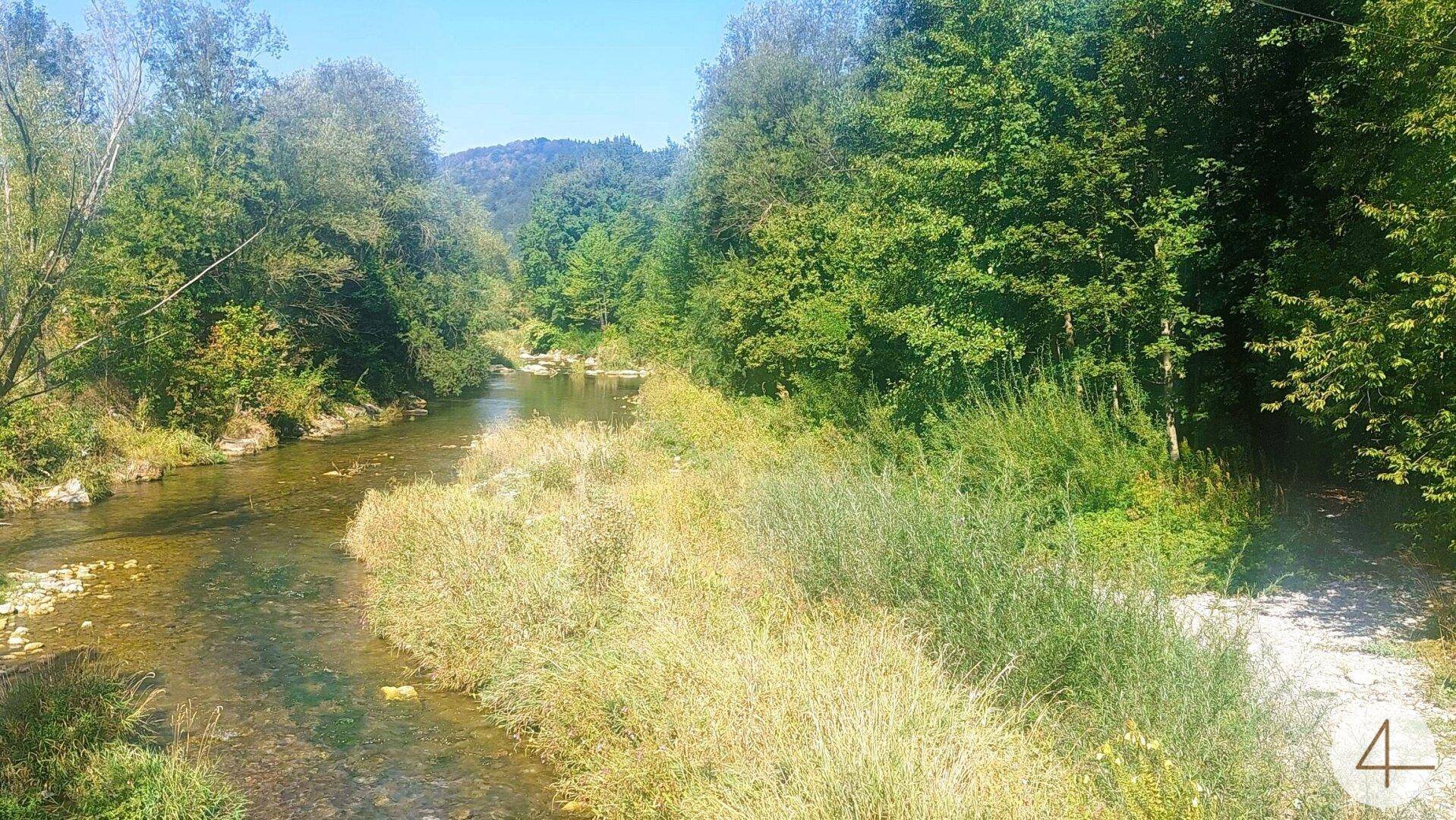 Idyllische Flusslandschaft mit bewaldeten Ufern und sonnigem Wetter, ideal für Naturliebhaber.