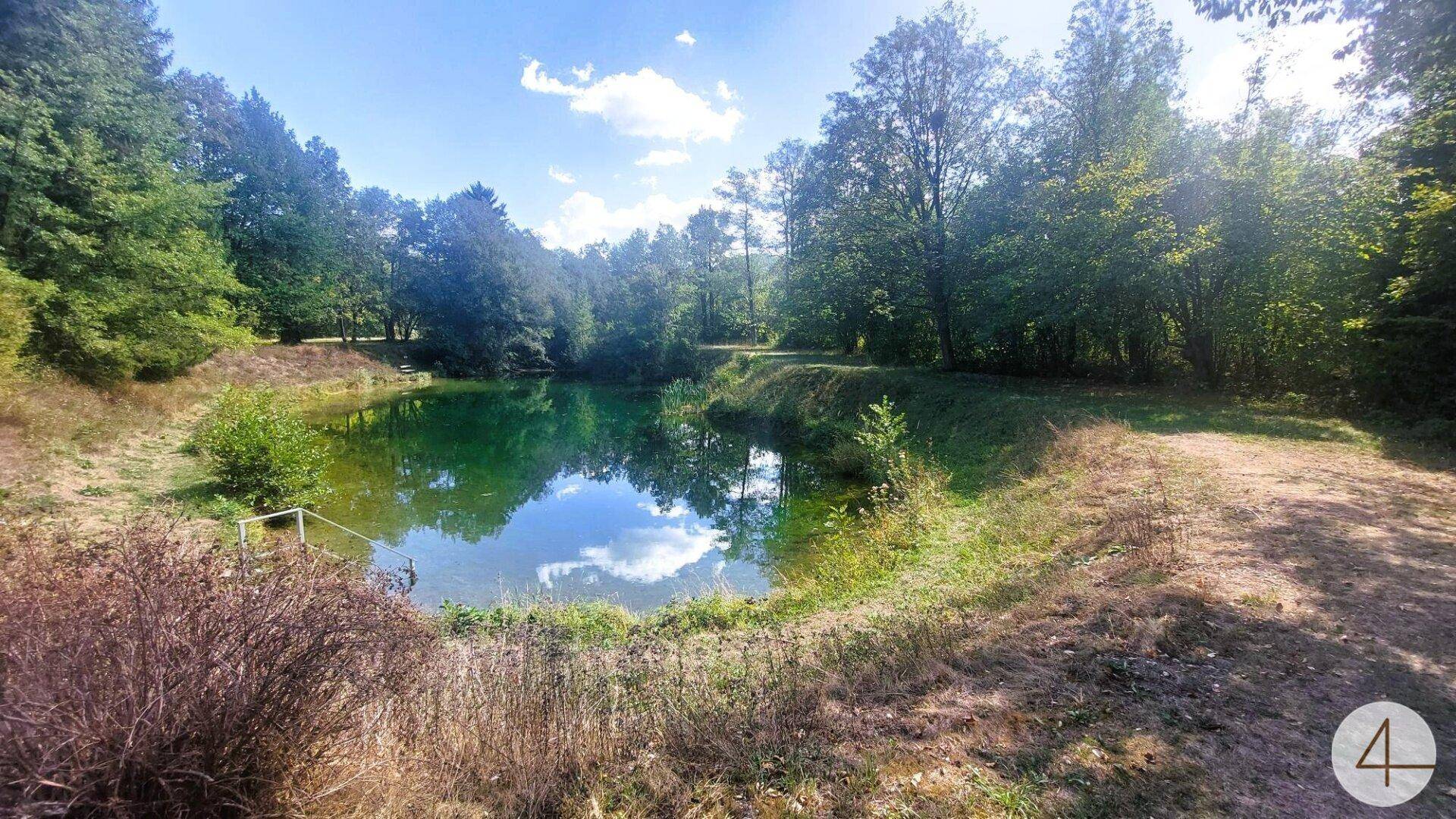 Natürlicher Teich umgeben von dichtem Wald und grüner Landschaft unter blauem Himmel.