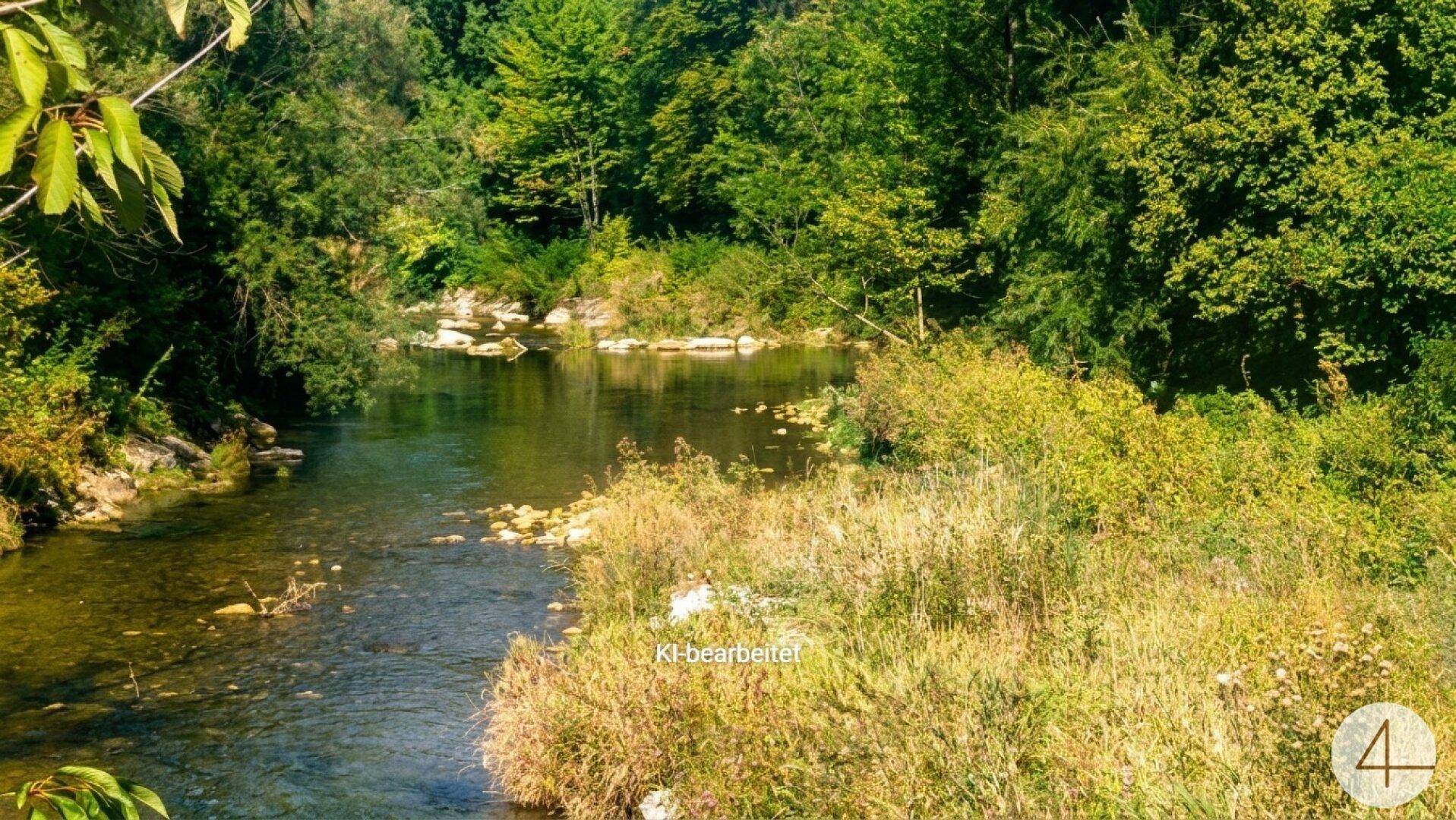 Flusslandschaft mit üppiger Vegetation und klarem Wasser unter blauem Himmel.