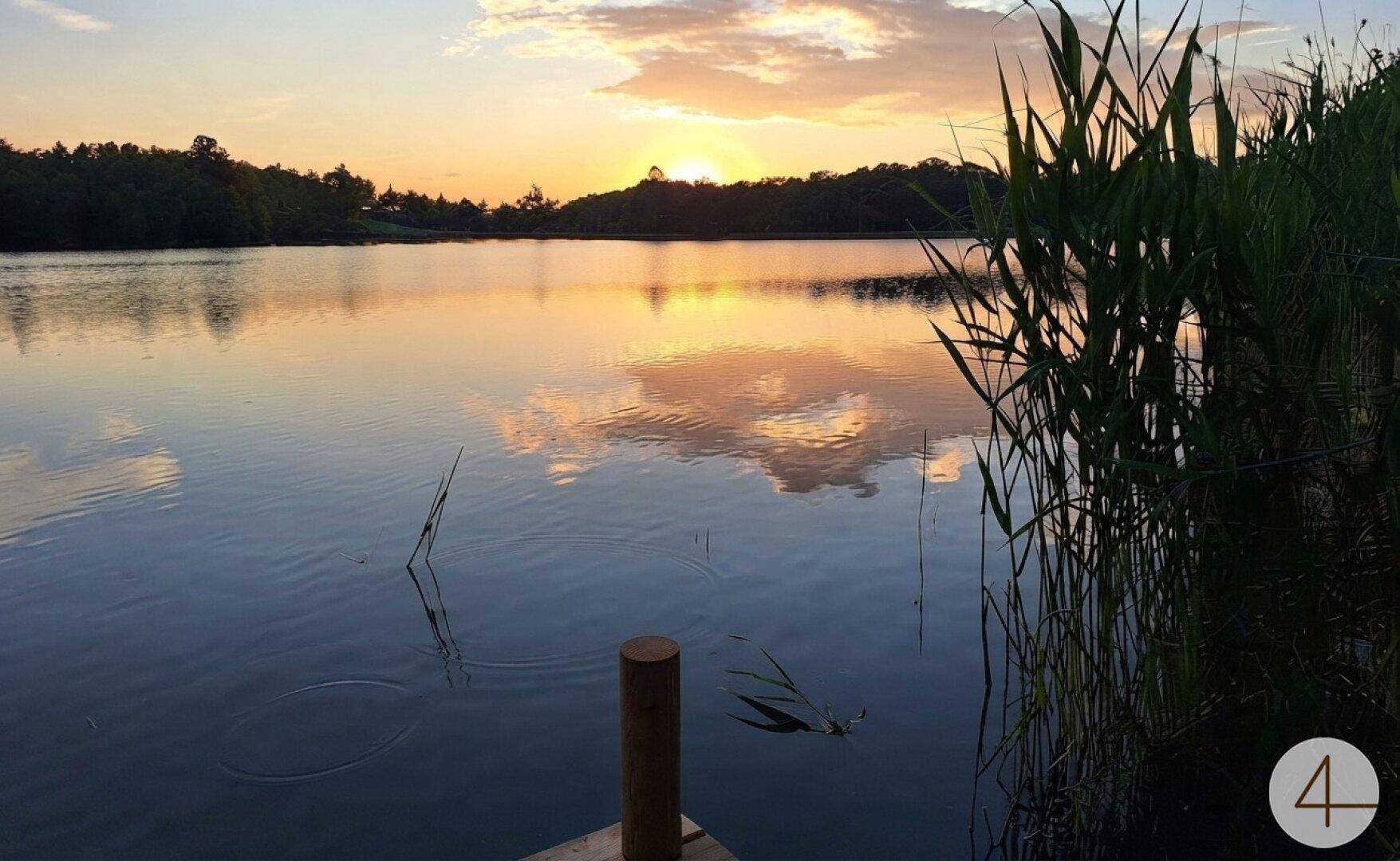 Malerischer Sonnenuntergang über einem ruhigen See mit Schilf im Vordergrund.