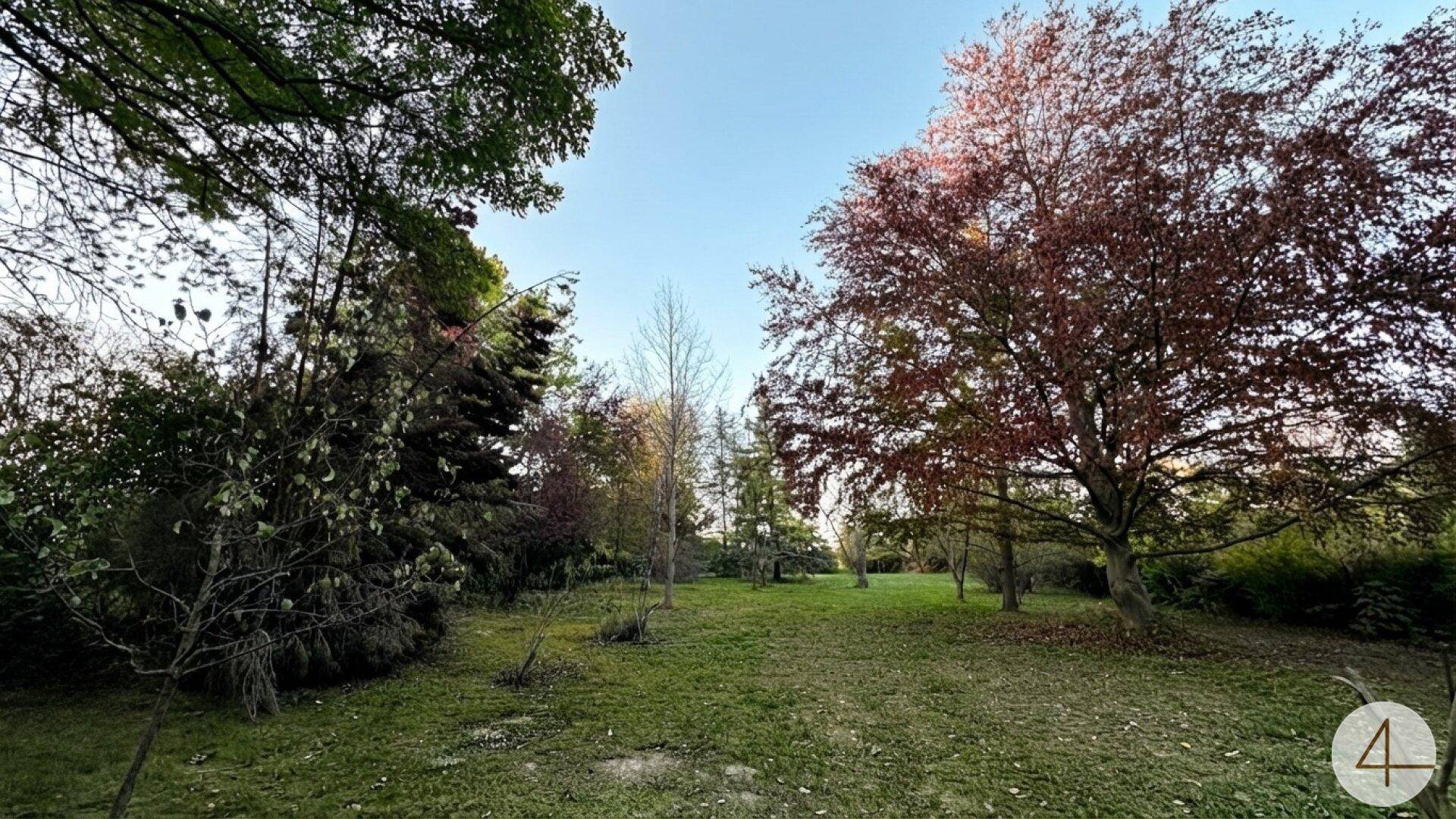 Große Rasenfläche umgeben von vielfältigem Baumbestand mit herbstlichen Farben.