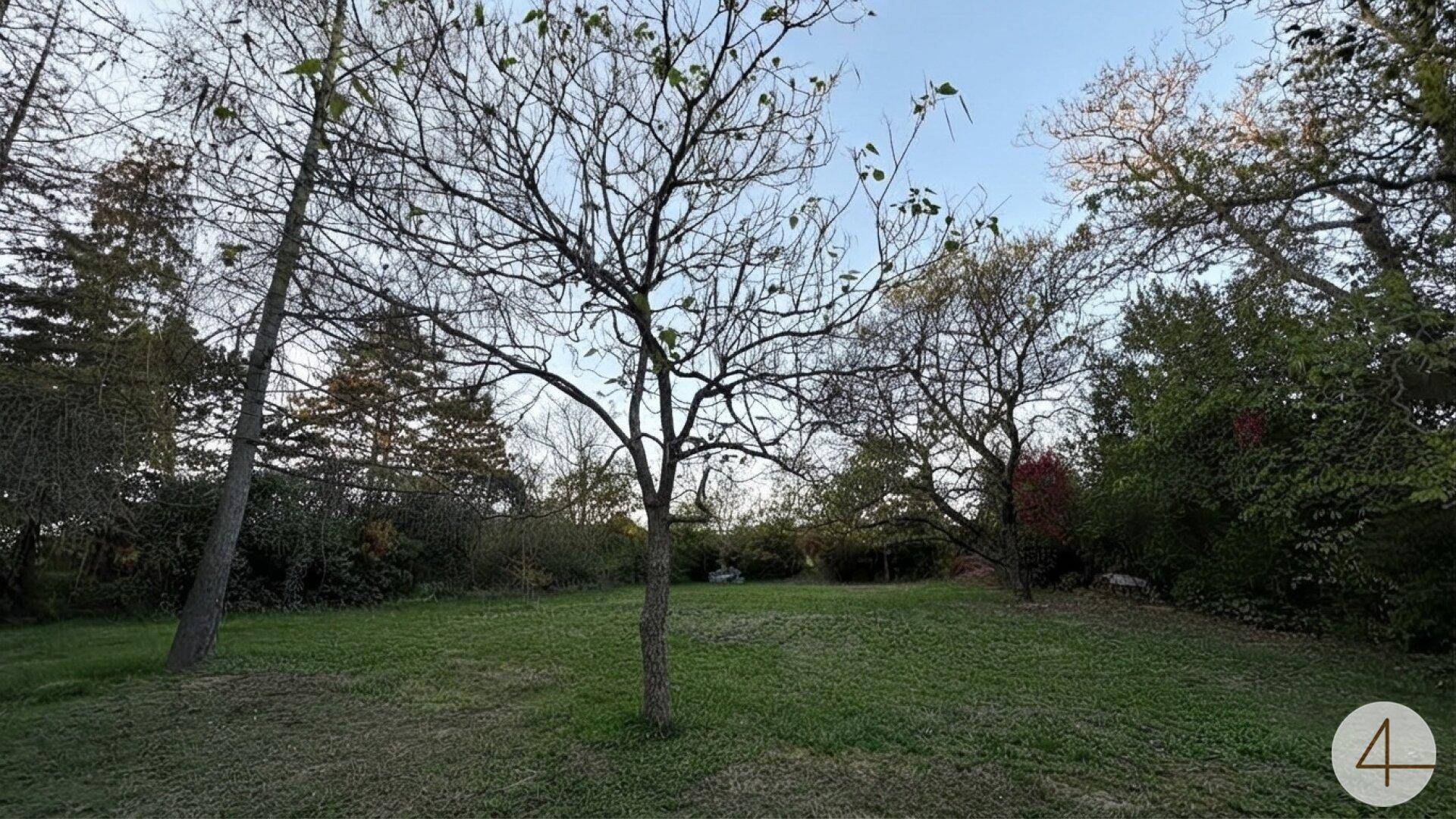 Weitläufiger Garten mit Rasenfläche und hohen Bäumen unter klarem Himmel.