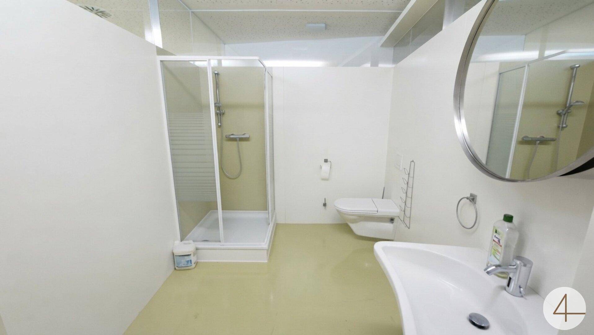 Helles Badezimmer mit Duschkabine, WC und modernem Waschbecken.
