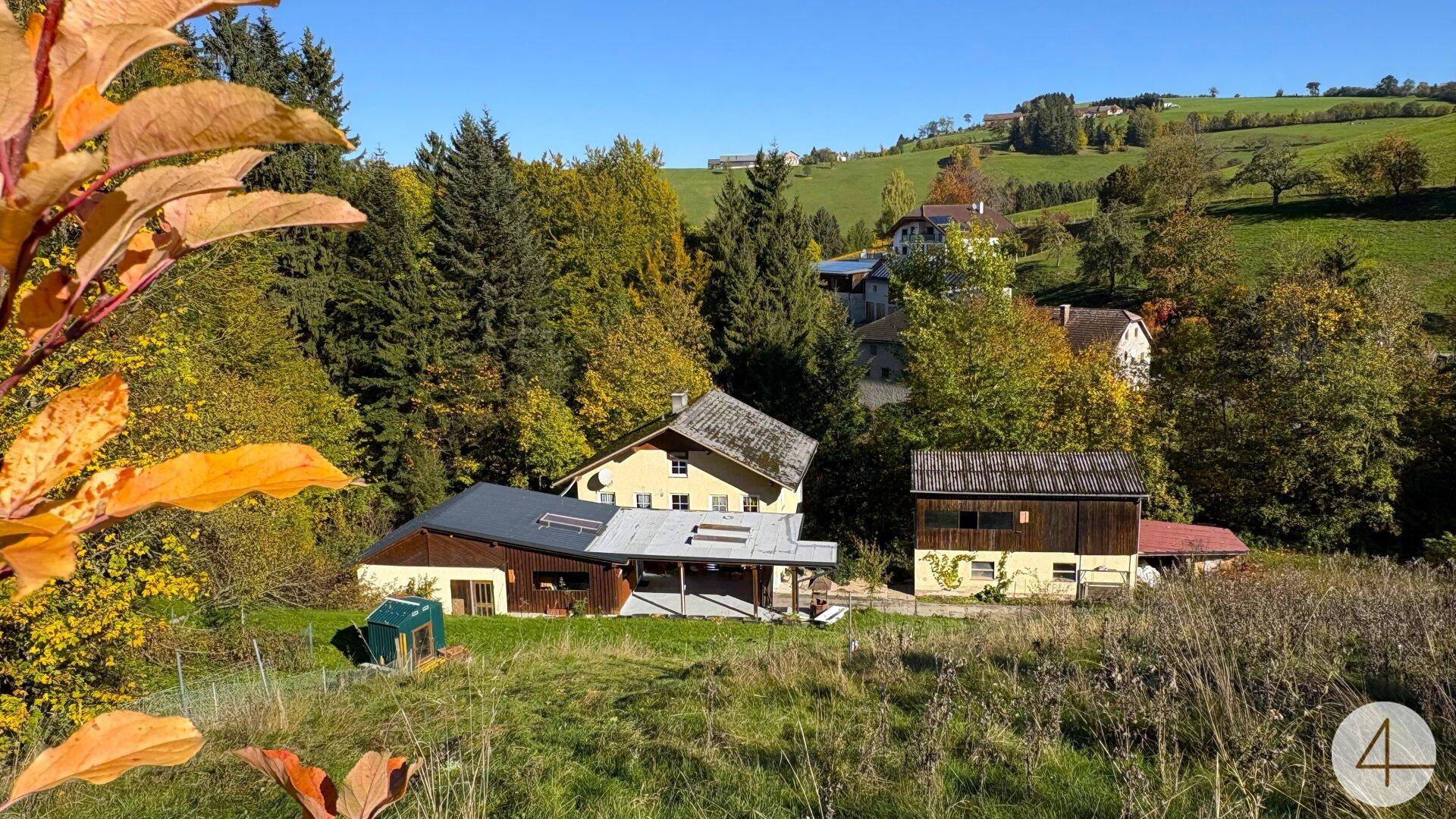 Weitläufige Ansicht des Anwesens in einer idyllischen ländlichen Umgebung mit viel Grün und Herbstlaub.