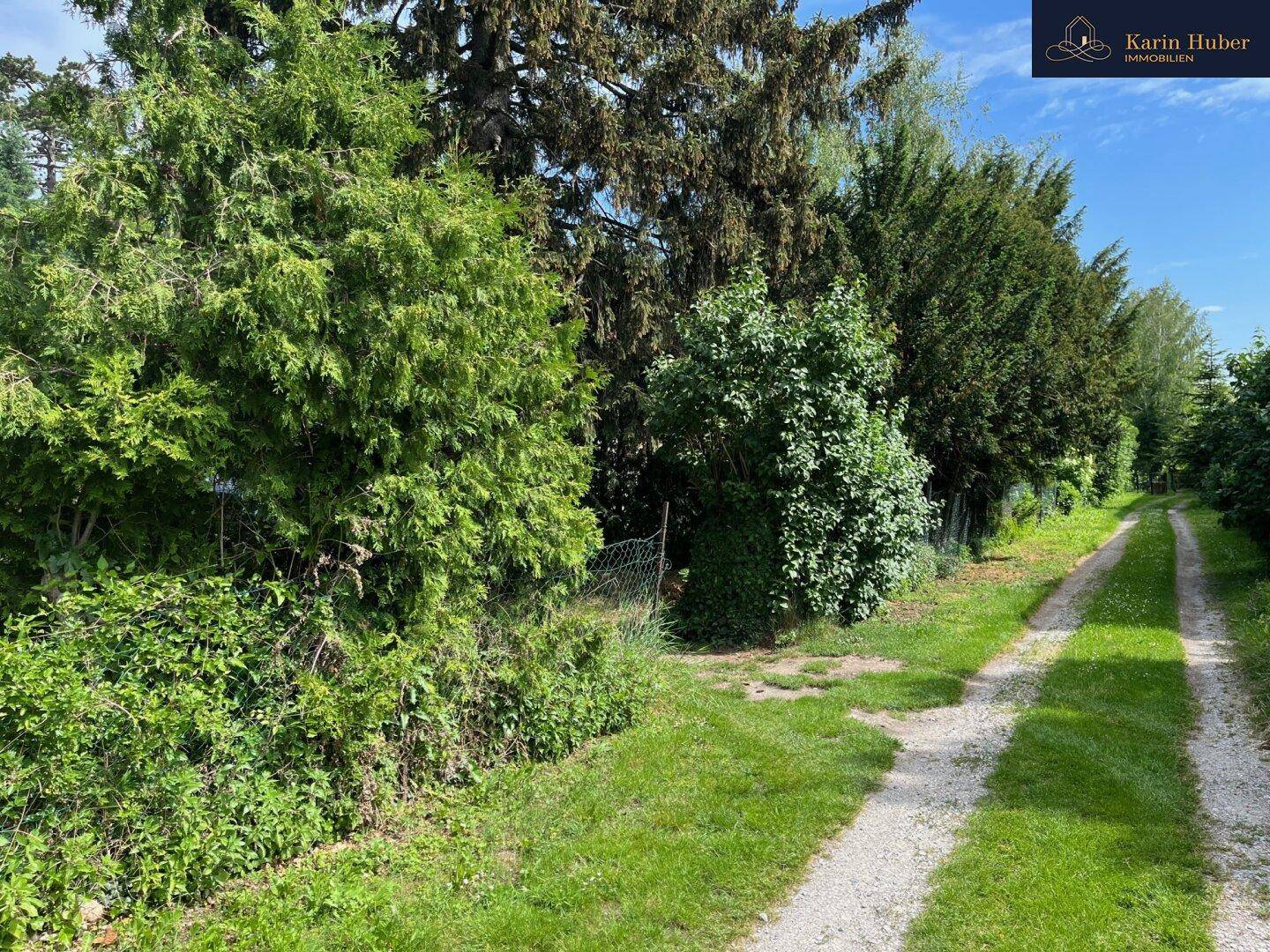 Naturweg umgeben von dichtem Grün und hohen Bäumen, der zum Grundstück führt.