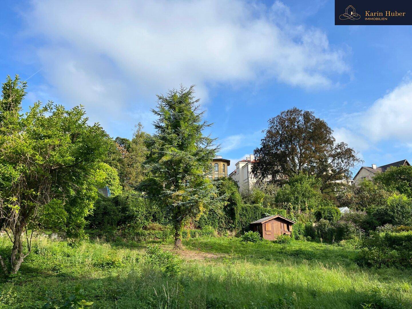 Naturbelassenes Grundstück mit Gartenhütte und Blick auf umliegende Gebäude durch die Bäume.