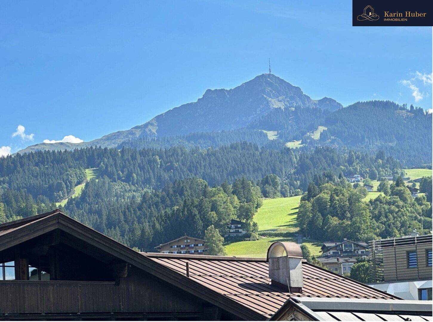Panoramablick auf bewaldete Berge und grüne Hänge unter einem klaren blauen Himmel.