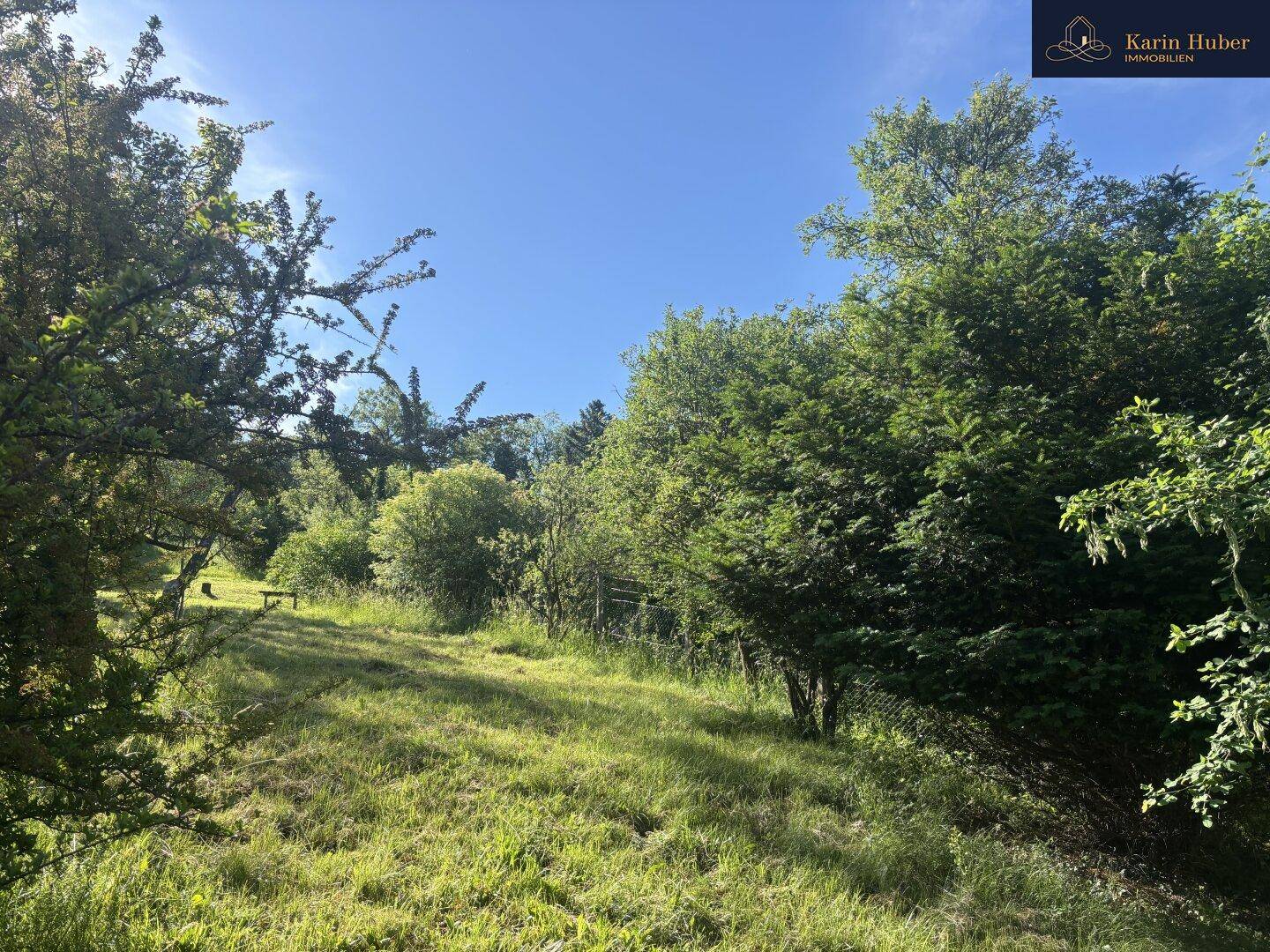 Weitläufiger, naturbelassener Gartenbereich mit üppigem Grün und sonnigen Lichtungen.
