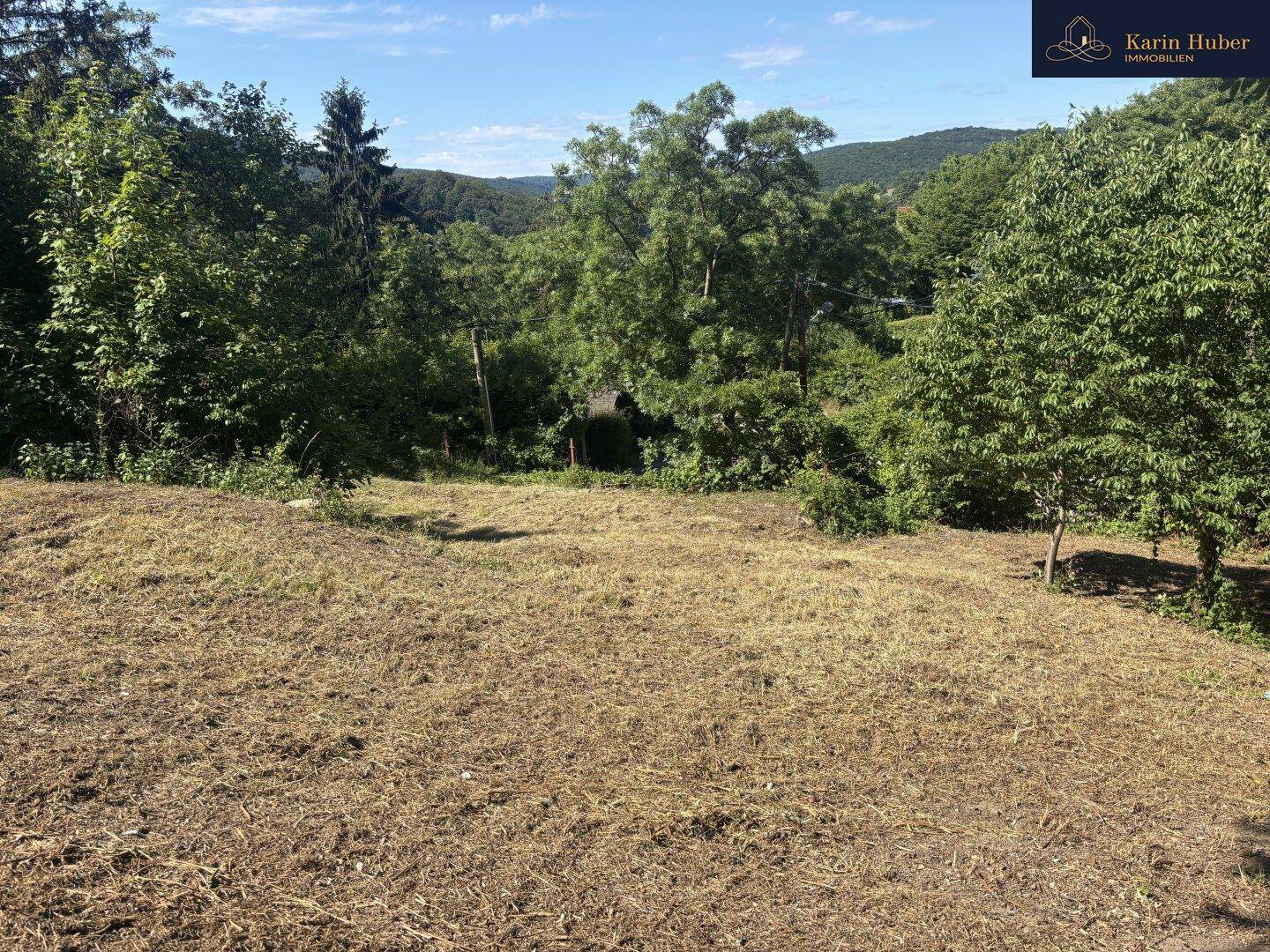 Offenes Feld mit trockener Grasfläche, umgeben von dichtem Baumbestand und sanften Hügeln im Hintergrund.