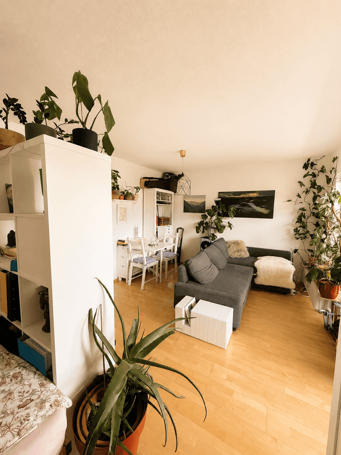 2607-SONNIGE SINGLEWOHNUNG MIT GARAGE IN INNSBRUCK/KRANEBITTEN - Widok 2