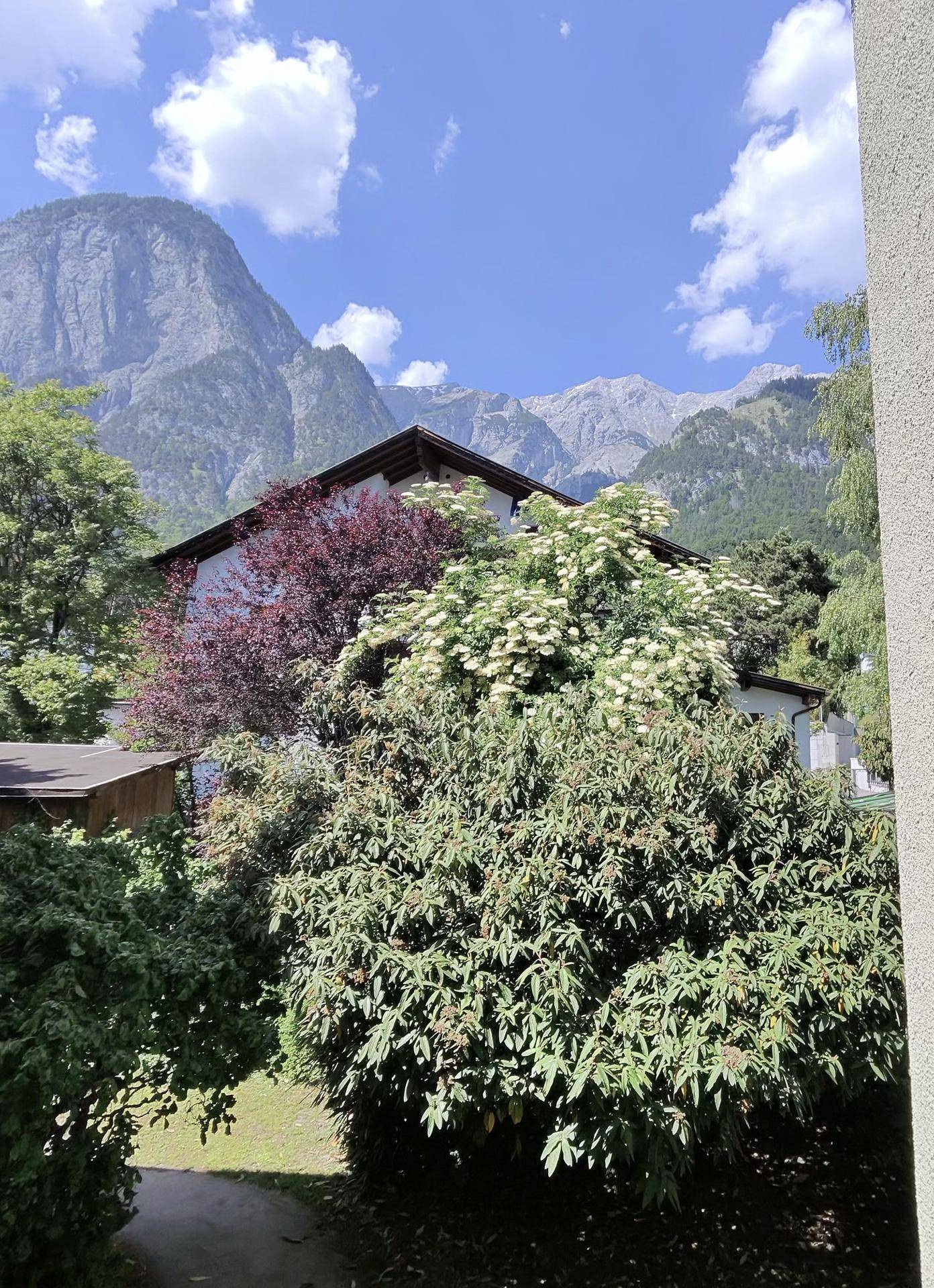 Malerischer Blick auf die majestätischen Berge über grünen Bäumen und einem Gebäude.
