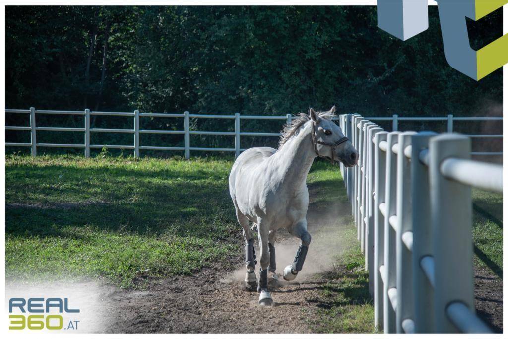 Reitclub Gutenhof (3,5km Entfernung)