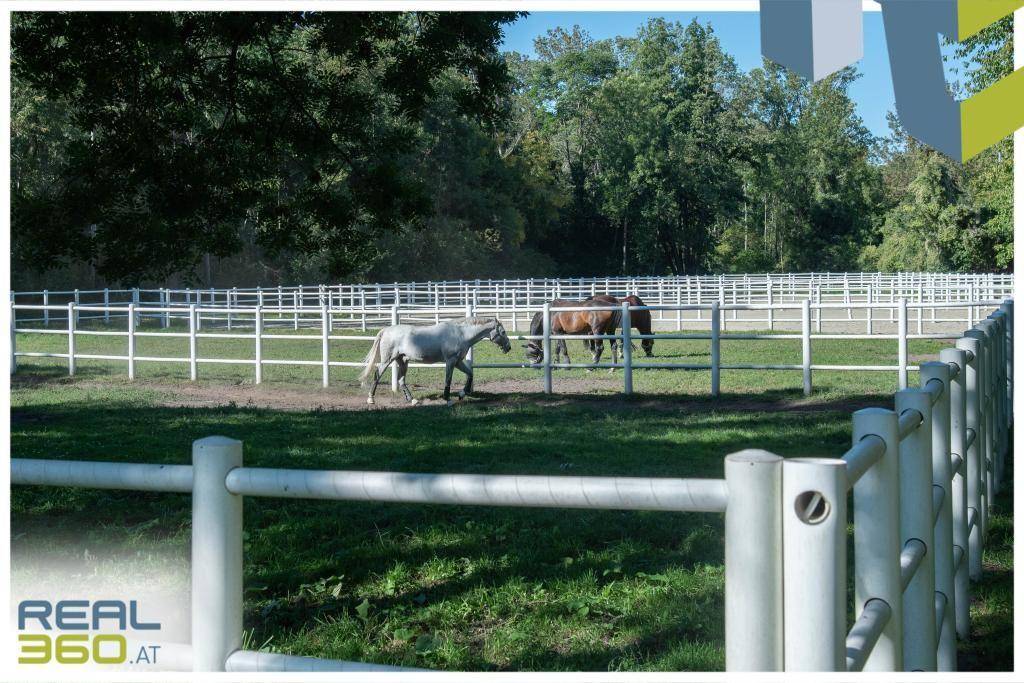 Reitclub Gutenhof (3,5km Entfernung)