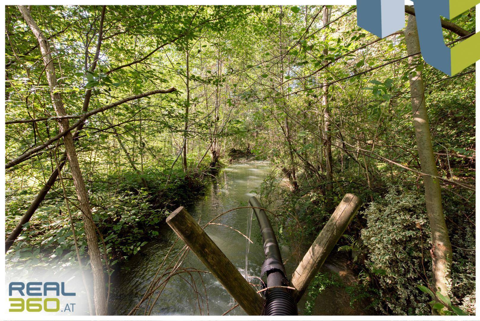 Teich entlang des Wasserlaufs am Grundstück