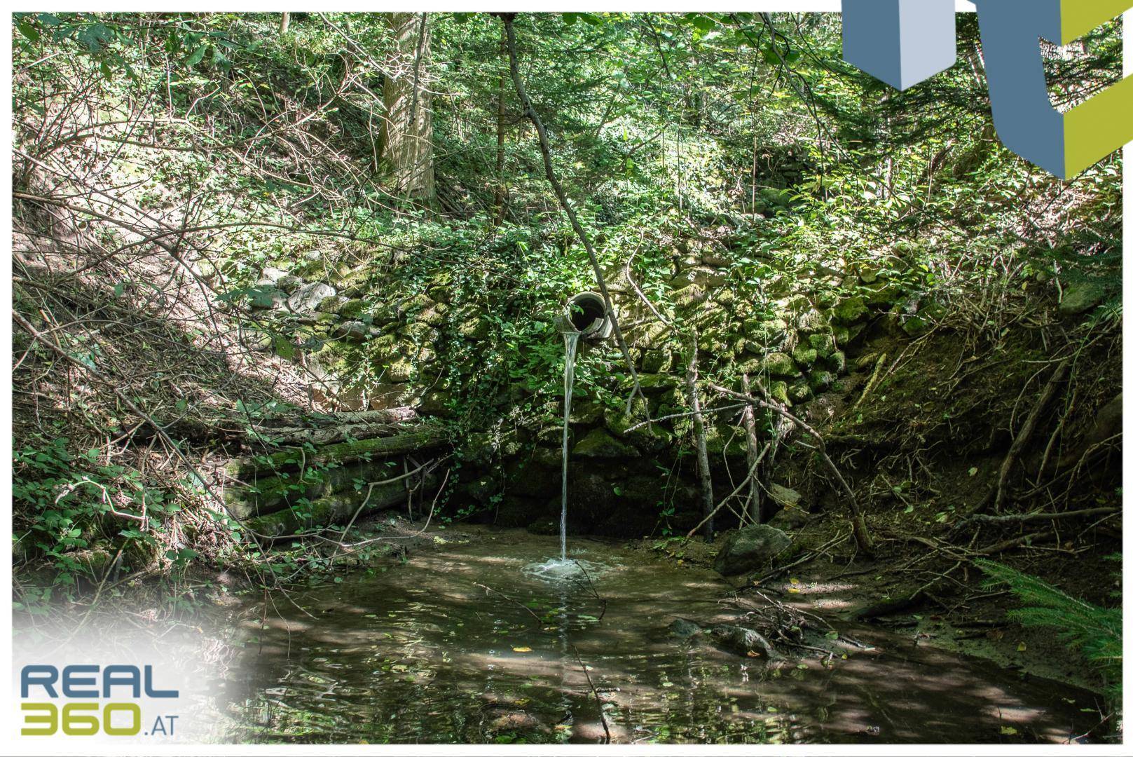 Wasserlauf am südlichsten Teil des Grundstücks