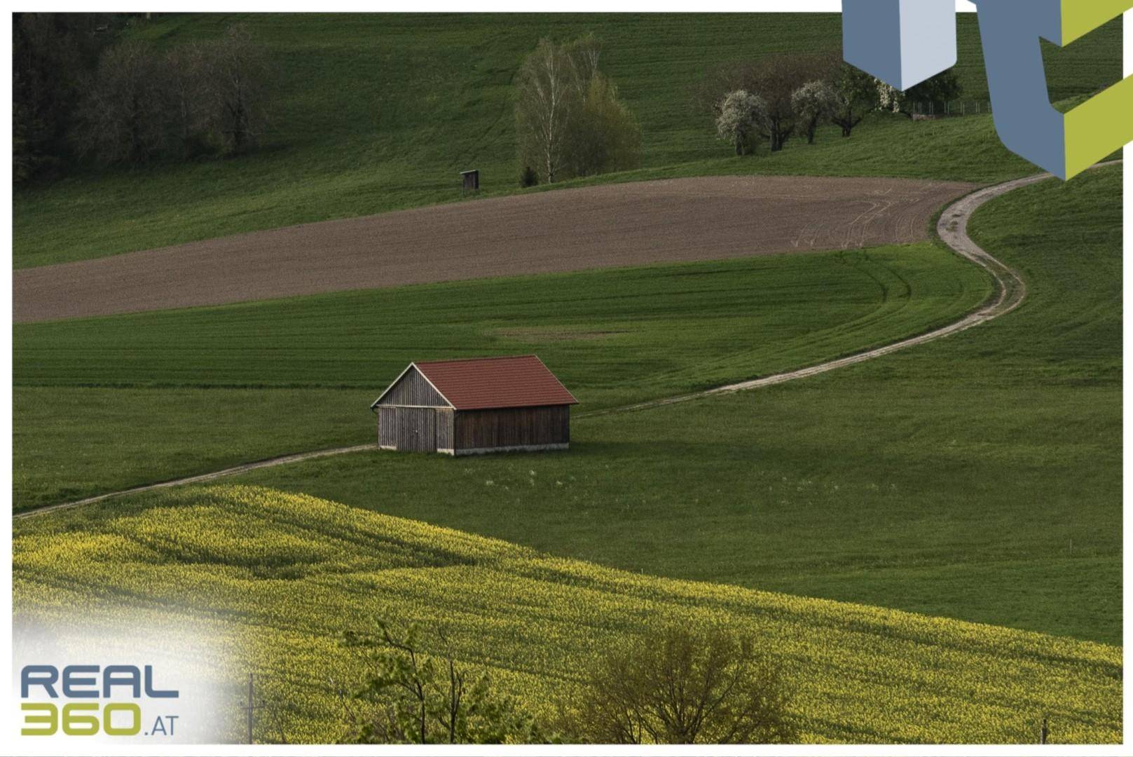 Weg von der Koglerau Richtung Neulichtenberg