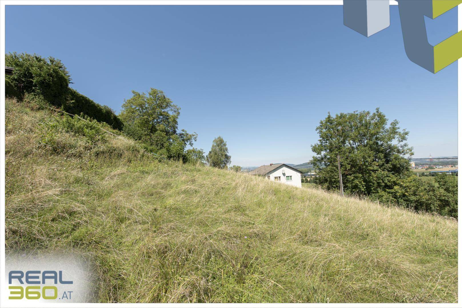 Grüne Hügellandschaft mit Bäumen und einem Haus im Hintergrund unter blauem Himmel.