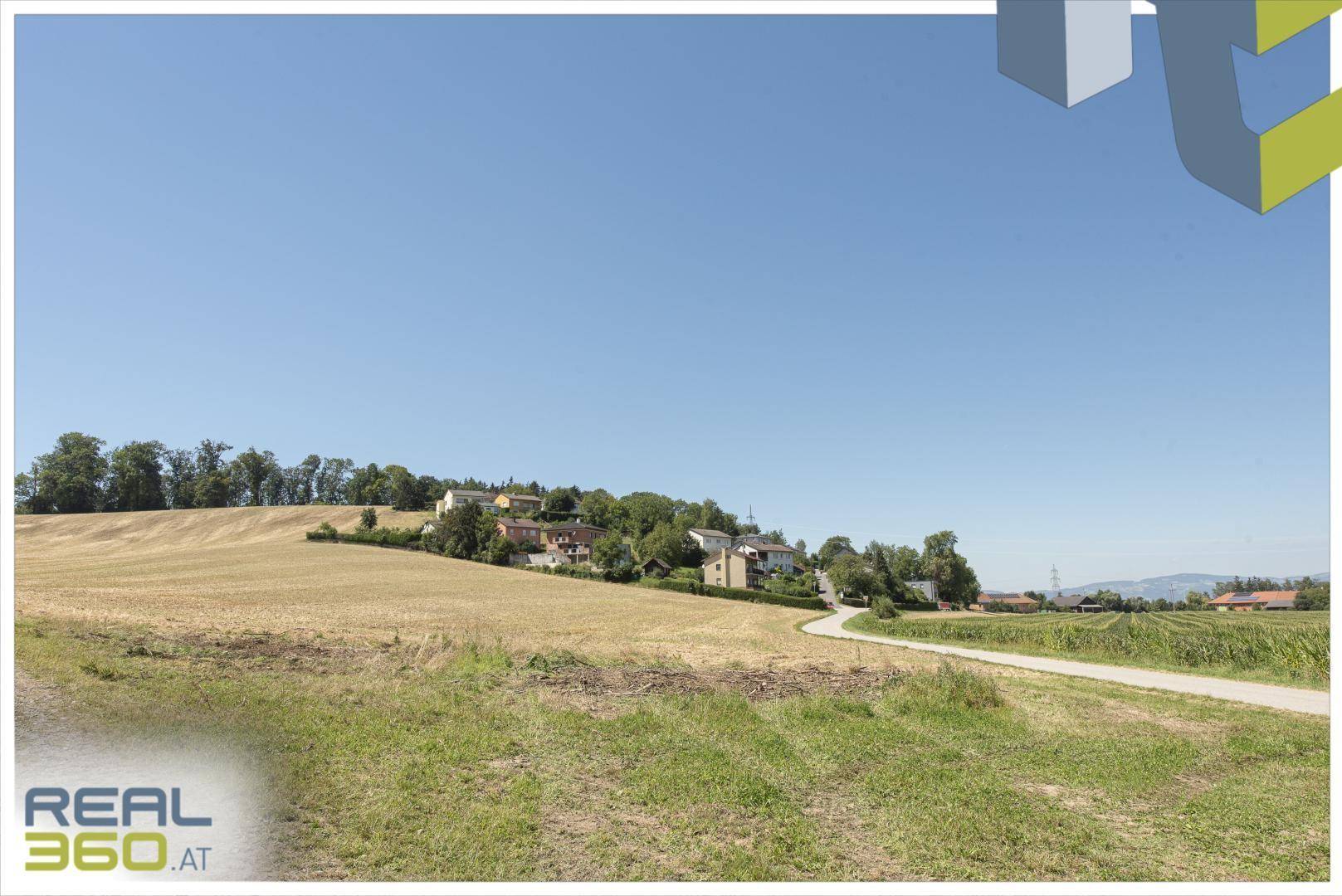 Ländliche Szenerie mit einem Feldweg, abgeernteten Feldern und einer Siedlung am Horizont.