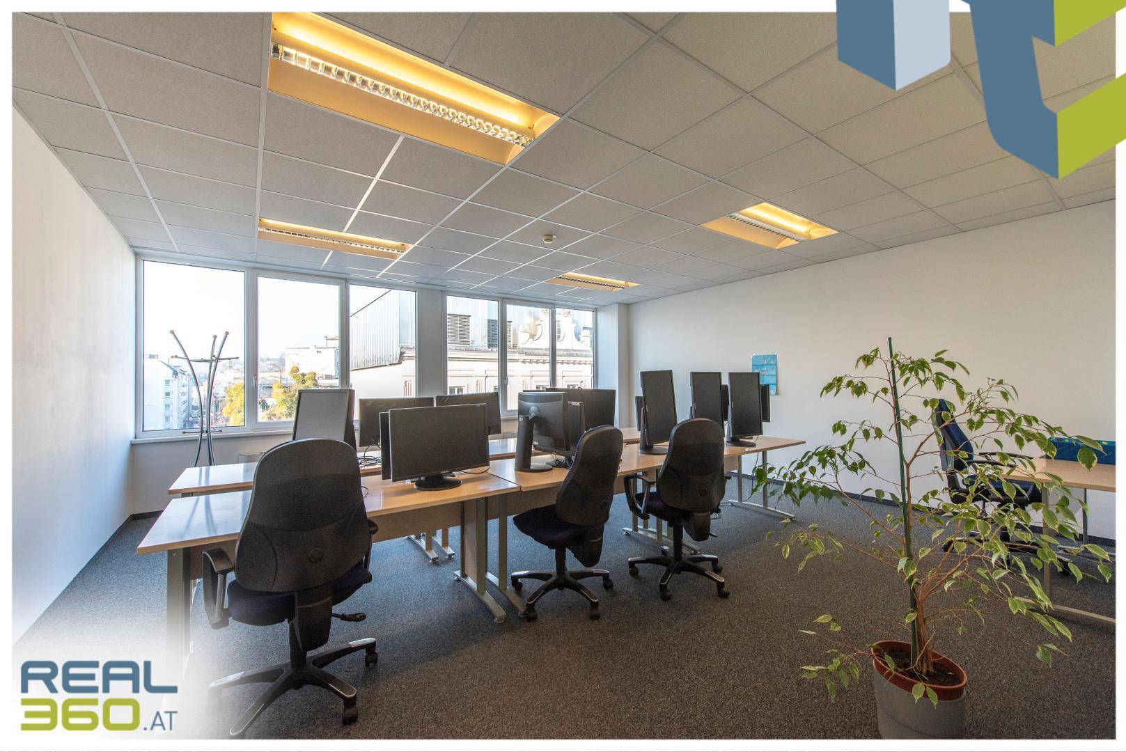 Großes Büro mit vielen Arbeitsplätzen, Computern und großen Fenstern, die viel Tageslicht bieten.