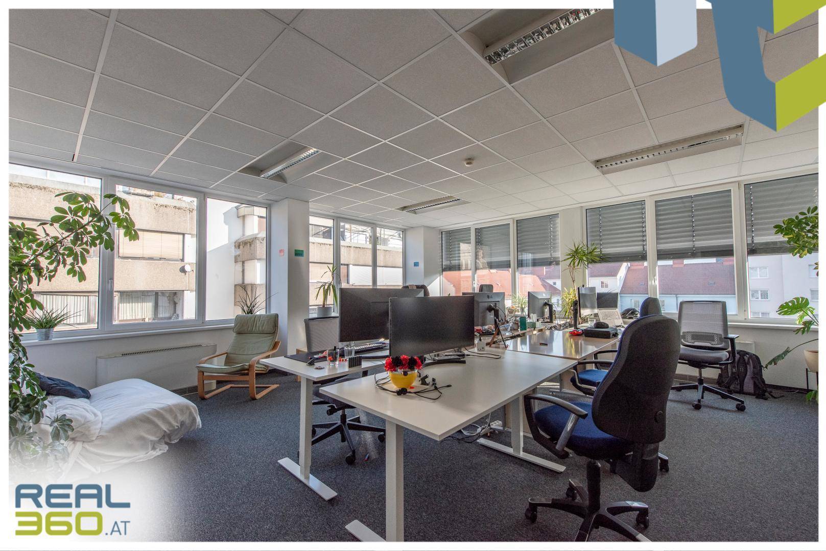 Großes Büro mit mehreren Schreibtischen, Pflanzen und großen Fenstern, die viel Tageslicht hereinlassen.