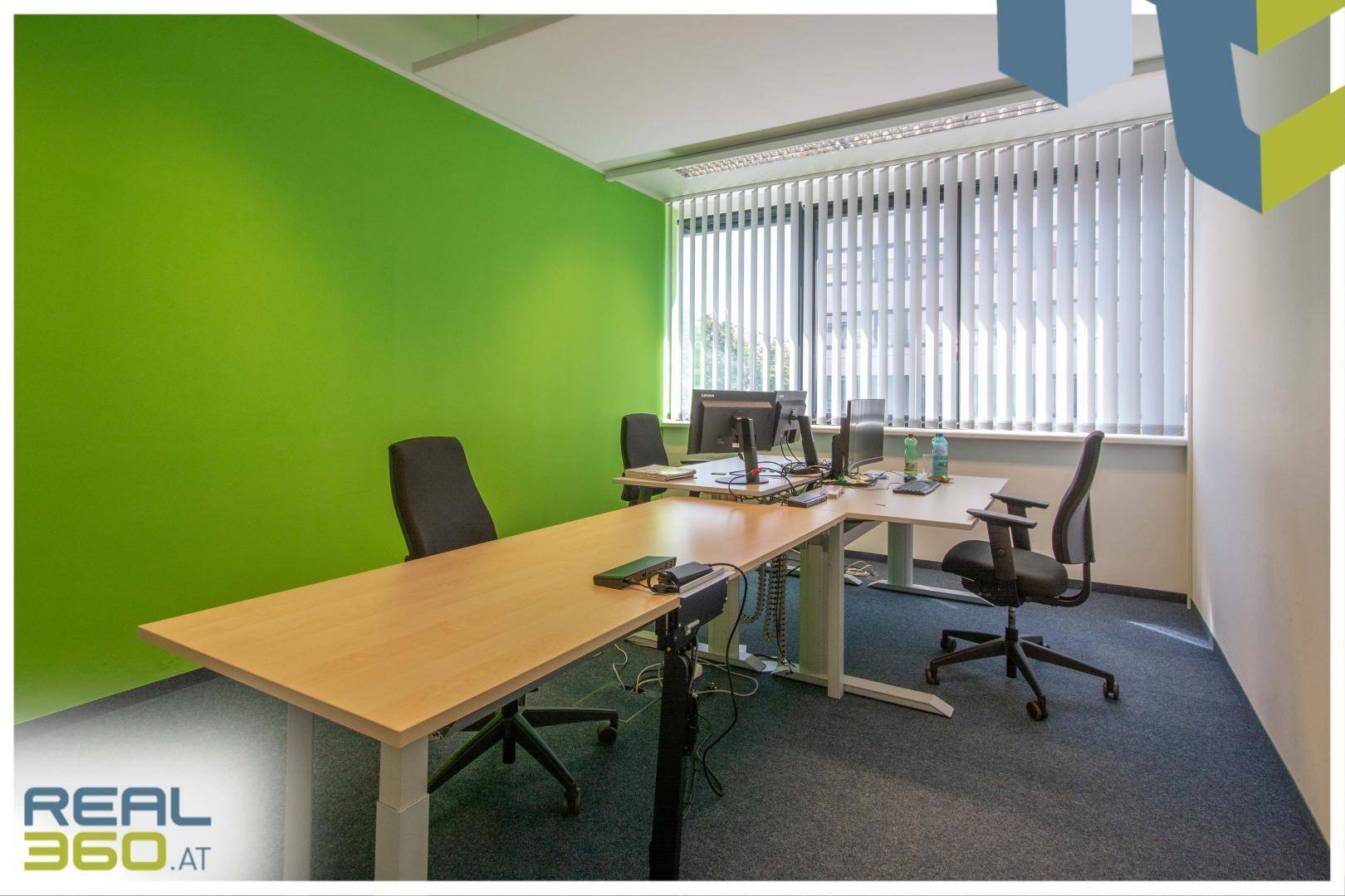 Modernes Büro mit mehreren Arbeitsplätzen, grüner Wand und großen Fenstern für viel Tageslicht.