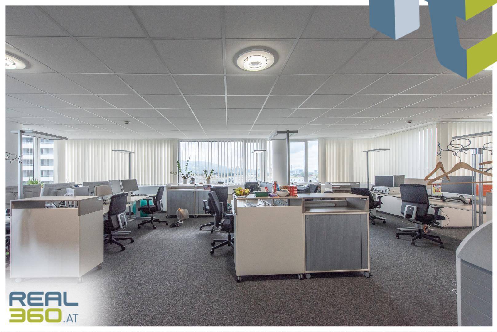 Großes Großraumbüro mit zahlreichen Arbeitsplätzen, Teppichboden und großen Fenstern für viel Tageslicht.
