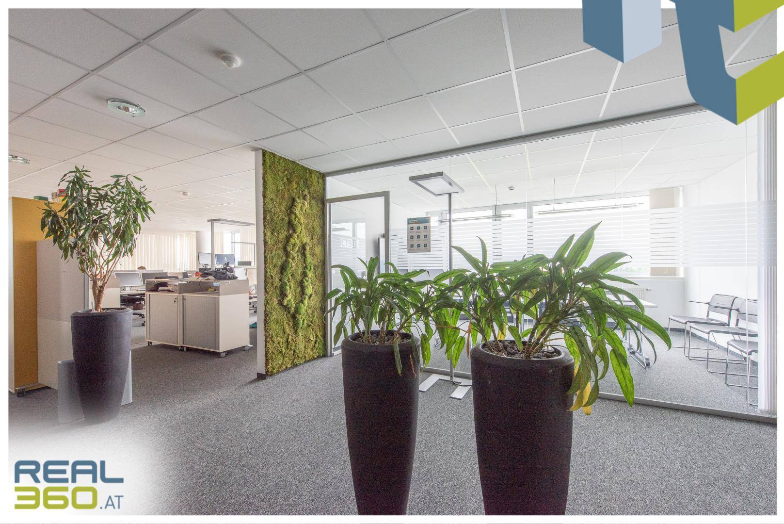 Bürointerieur mit Pflanzen, einer Mooswand und modernen Glastrennwänden für offene Bereiche.