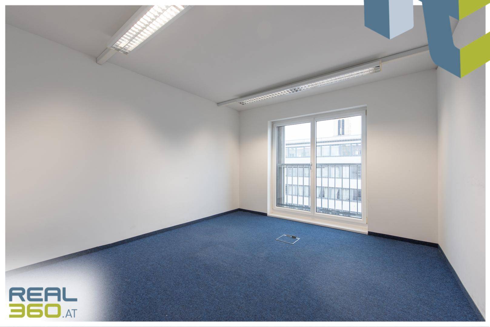 Heller Büroraum mit blauem Teppichboden und großen Fenstern, die viel Tageslicht hereinlassen.