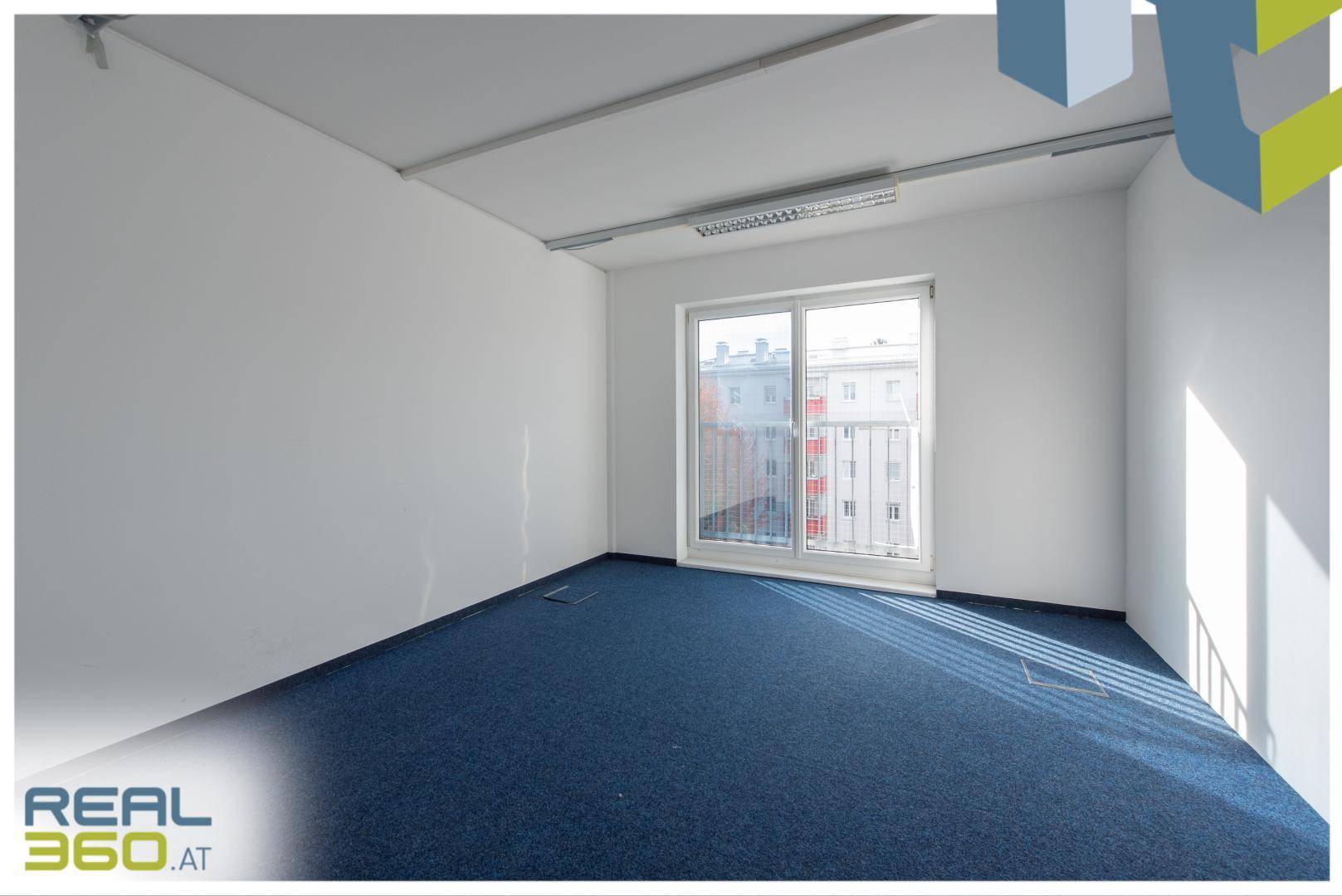 Heller Büroraum mit blauem Teppichboden und großen Fenstern, die viel natürliches Licht hereinlassen.