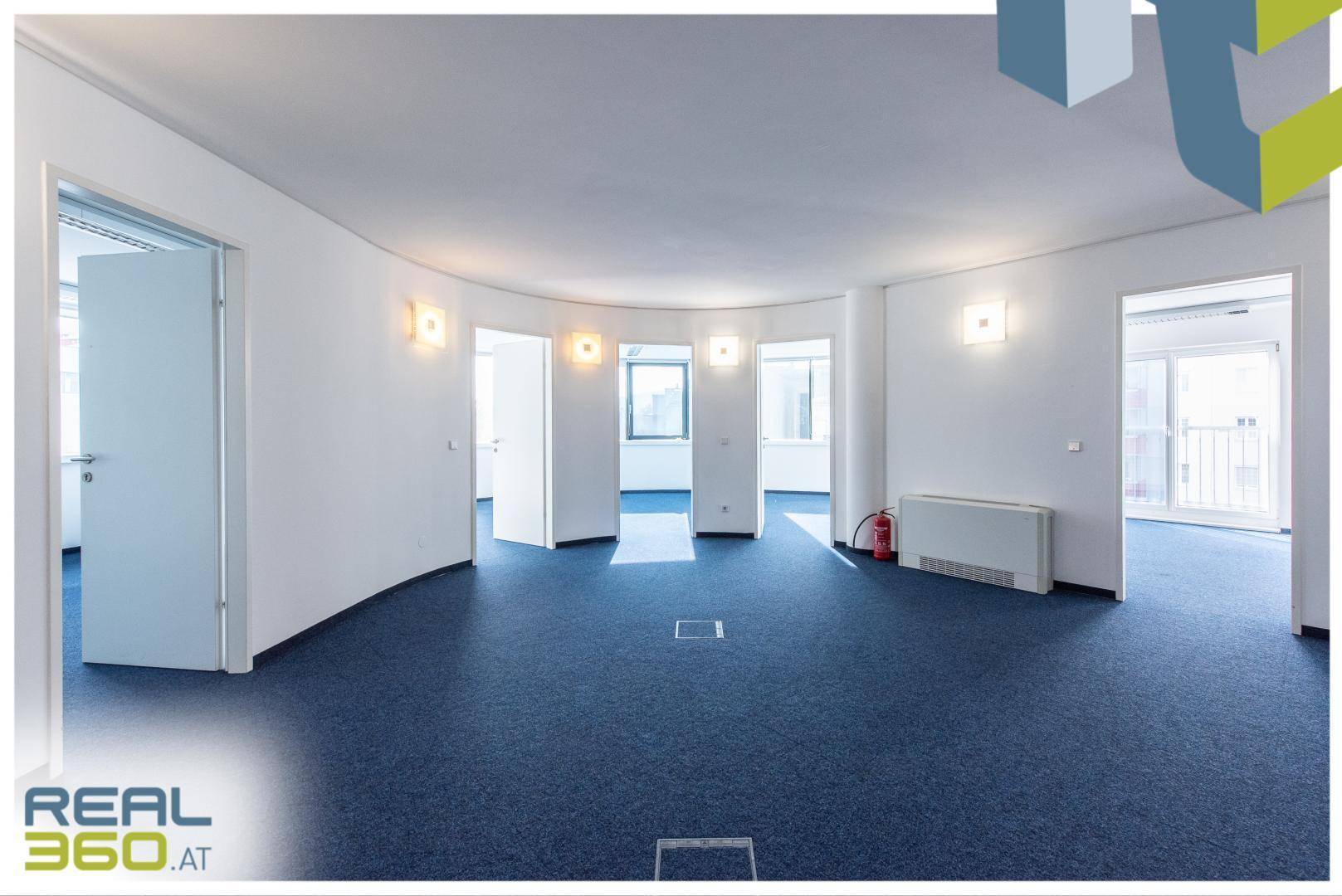 Geräumiger Büroraum mit blauem Teppichboden, geschwungenen Wänden und mehreren Türen sowie Fenstern.