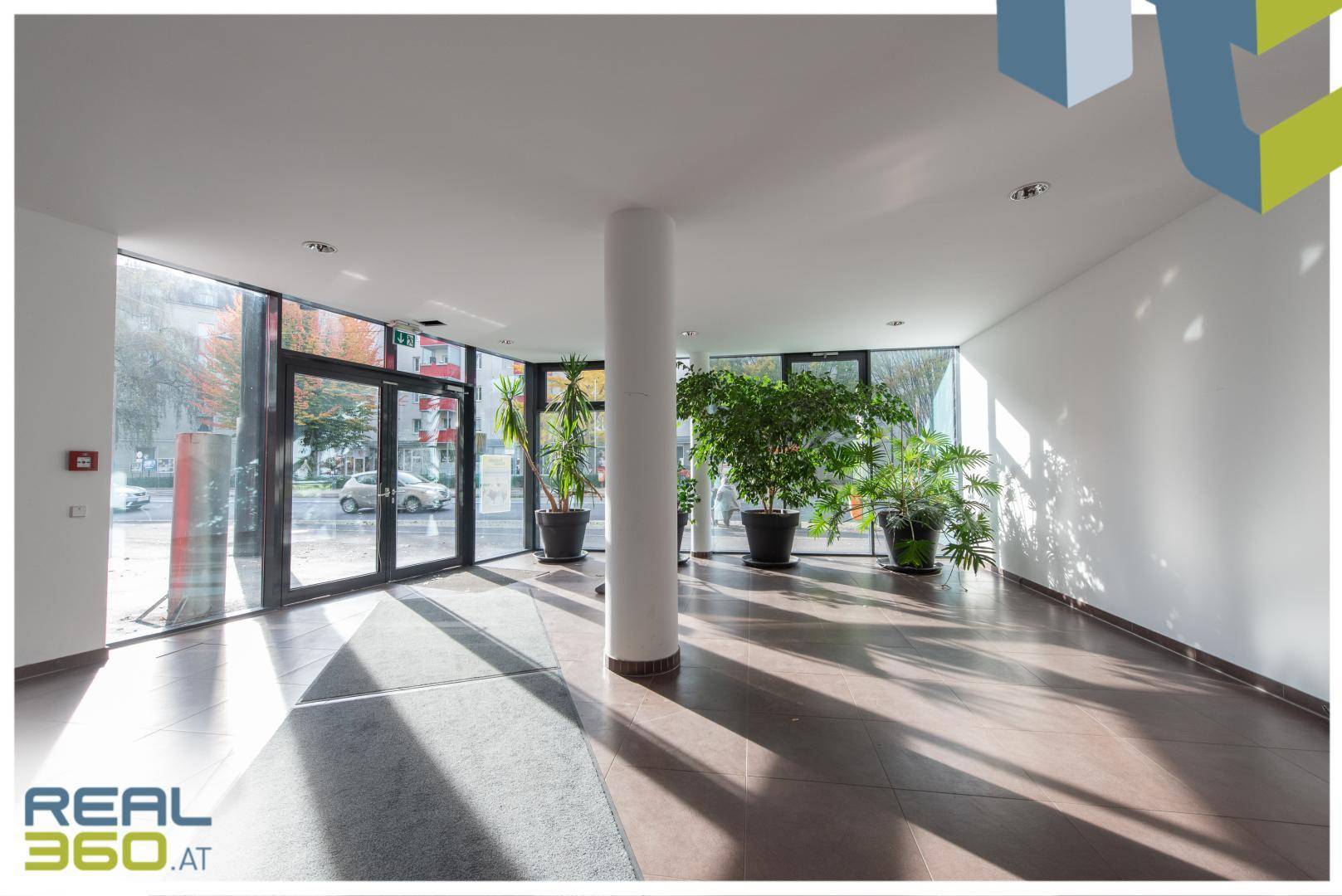 Heller Eingangsbereich mit großen Glasfronten, Säule und grünen Pflanzen, die viel Tageslicht hereinlassen.