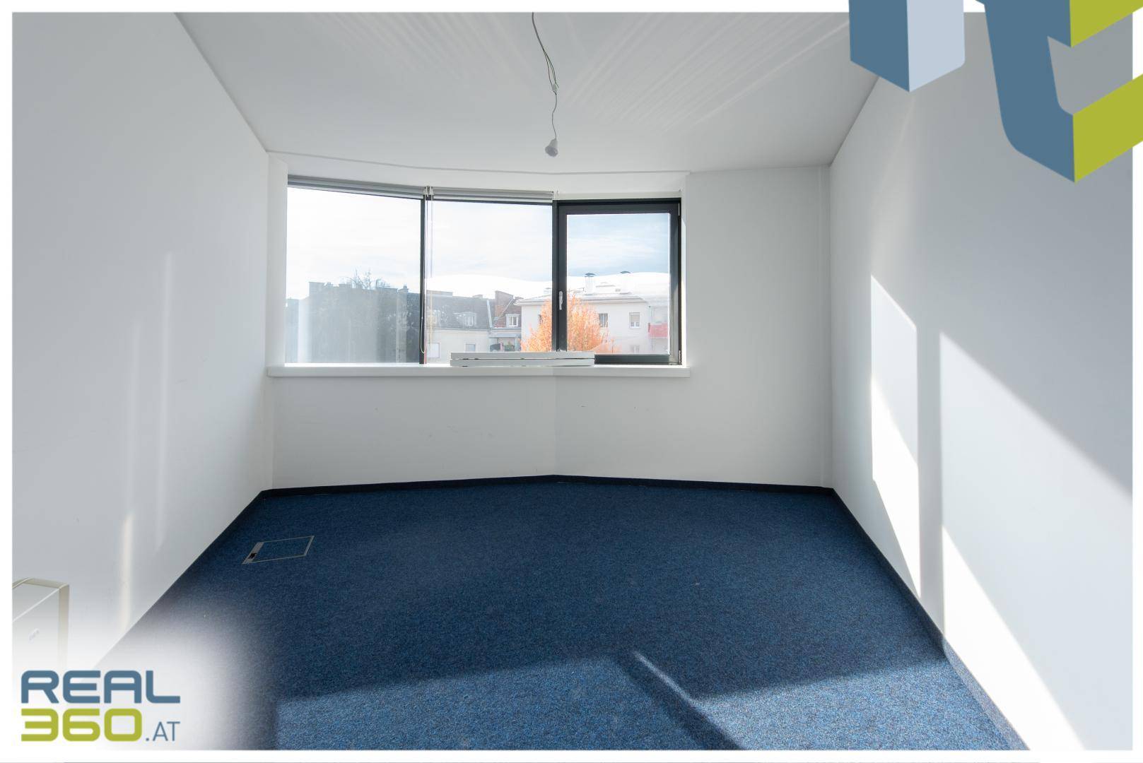 Büroraum mit blauem Teppichboden, weißen Wänden und einer breiten, geschwungenen Fensterfront.