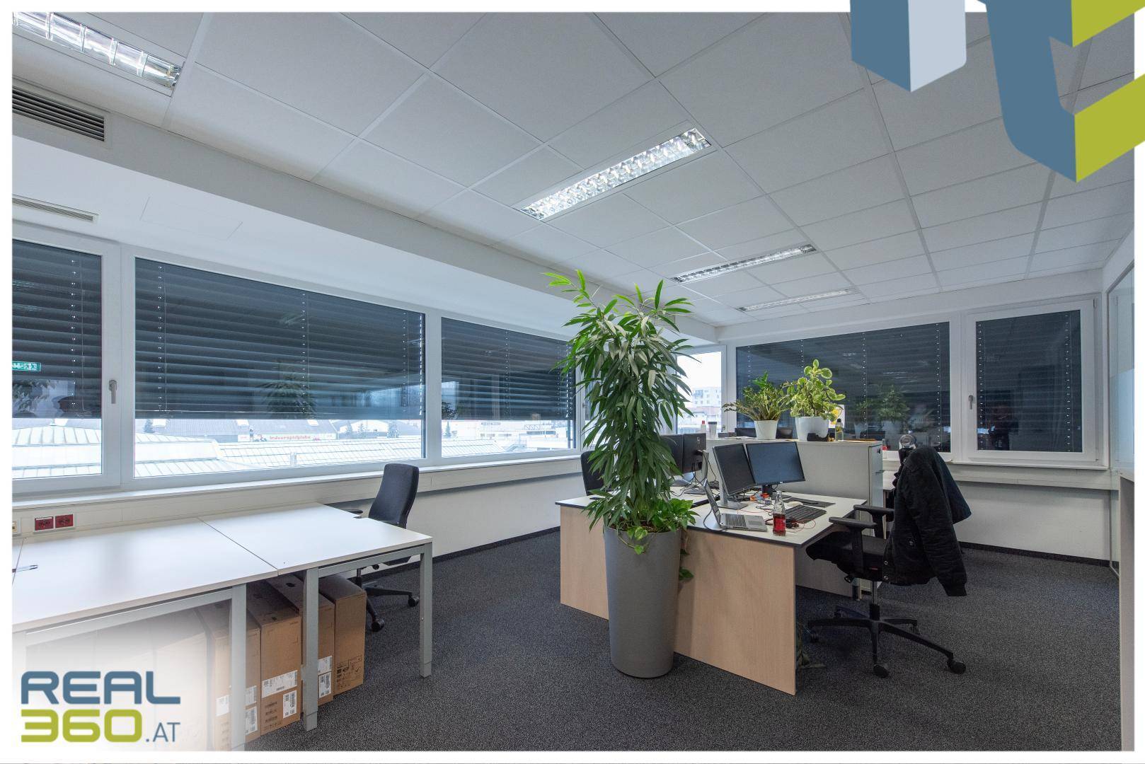 Geräumiges Büro mit mehreren Arbeitsplätzen, großen Fenstern und Teppichboden.