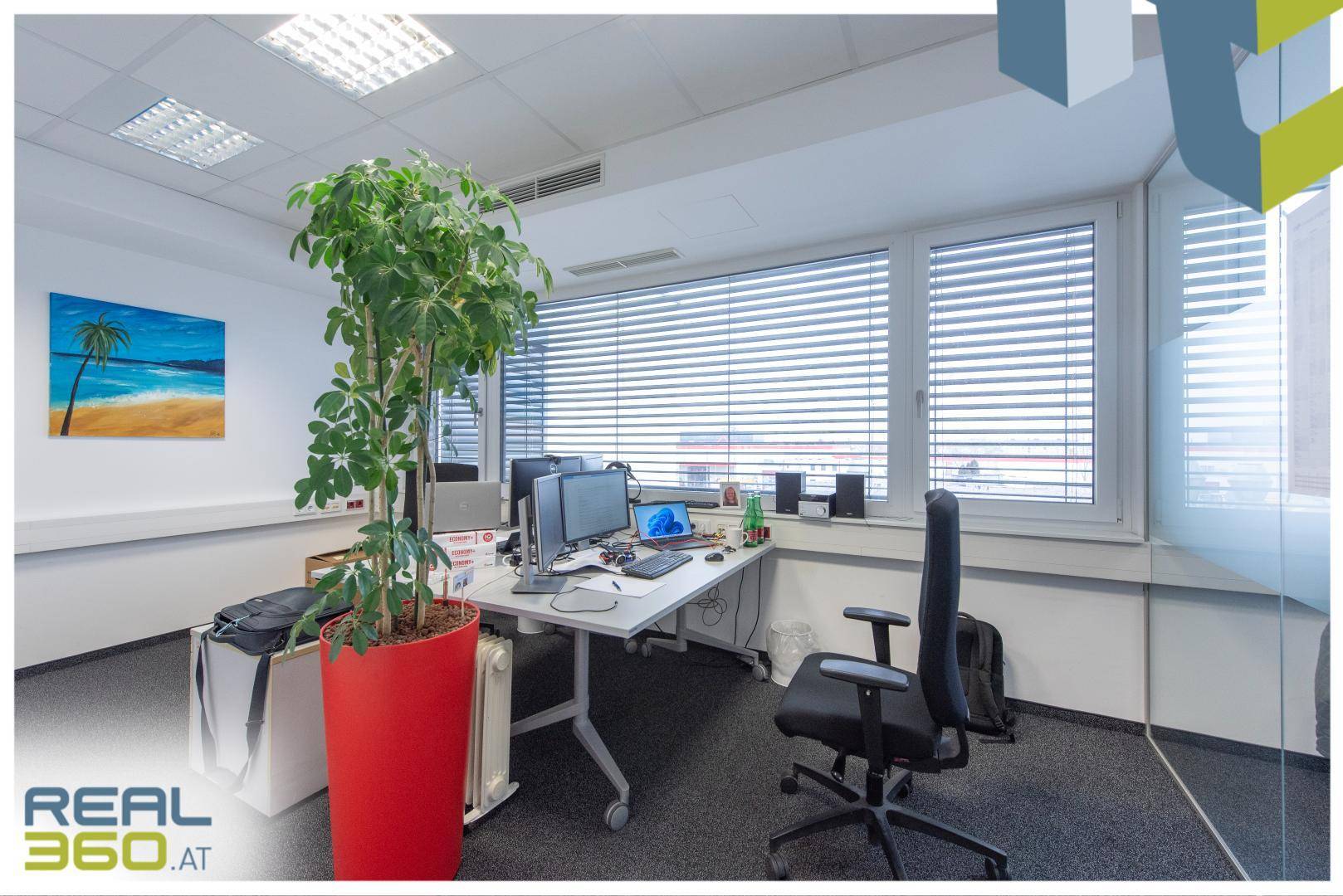 Helles Büro mit Schreibtisch, Bürostuhl, großen Fenstern und einer Zimmerpflanze.