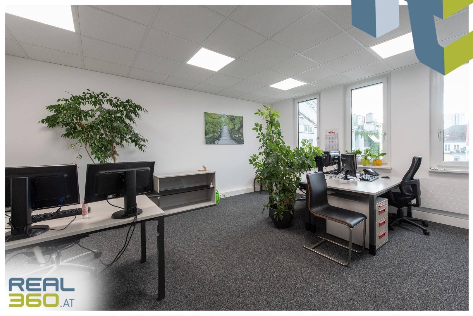 Großes Büro mit mehreren Arbeitsplätzen, Pflanzen und Fenstern, die viel Tageslicht hereinlassen.