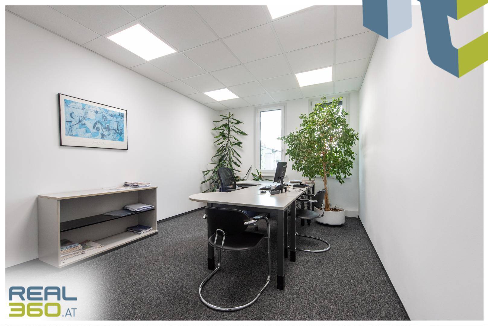 Helles Büro mit Schreibtisch, Bürostuhl, Regal und grünen Pflanzen, die eine angenehme Atmosphäre schaffen.