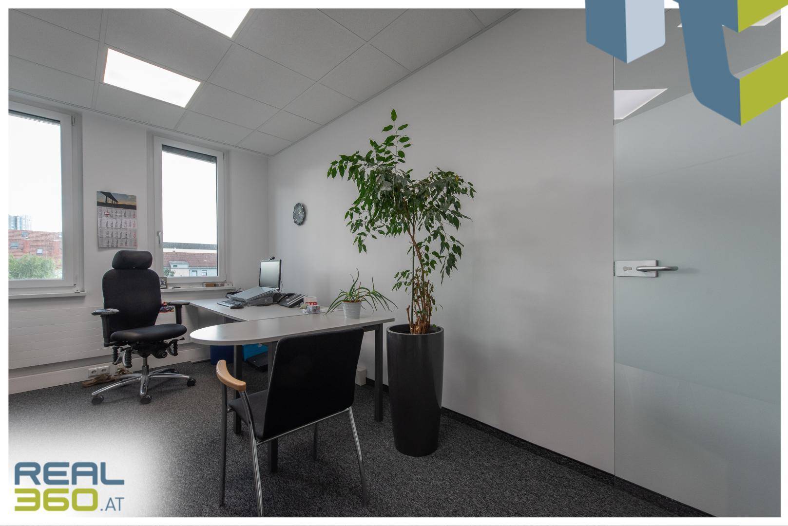 Einzelbüro mit Schreibtisch, Bürostuhl, grüner Pflanze und einer Glastür für mehr Transparenz.