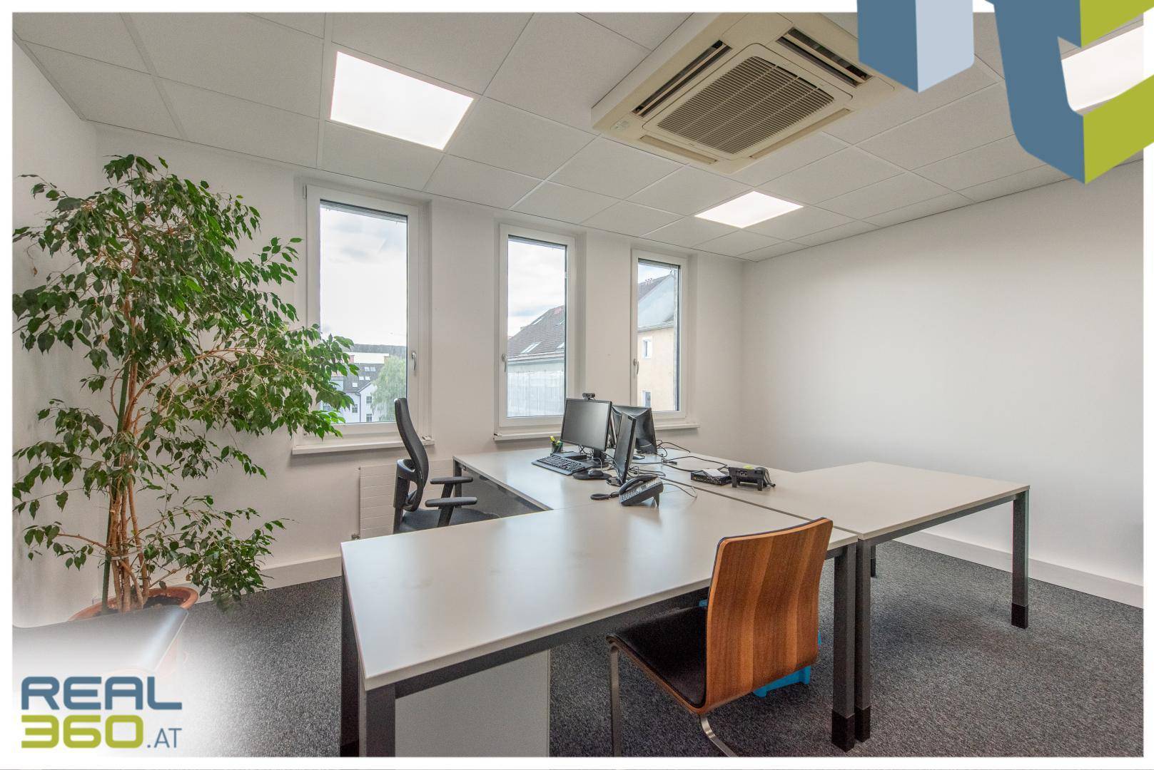 Geräumiges Büro mit mehreren Arbeitsplätzen, grünen Pflanzen und Blick auf die Umgebung durch große Fenster.